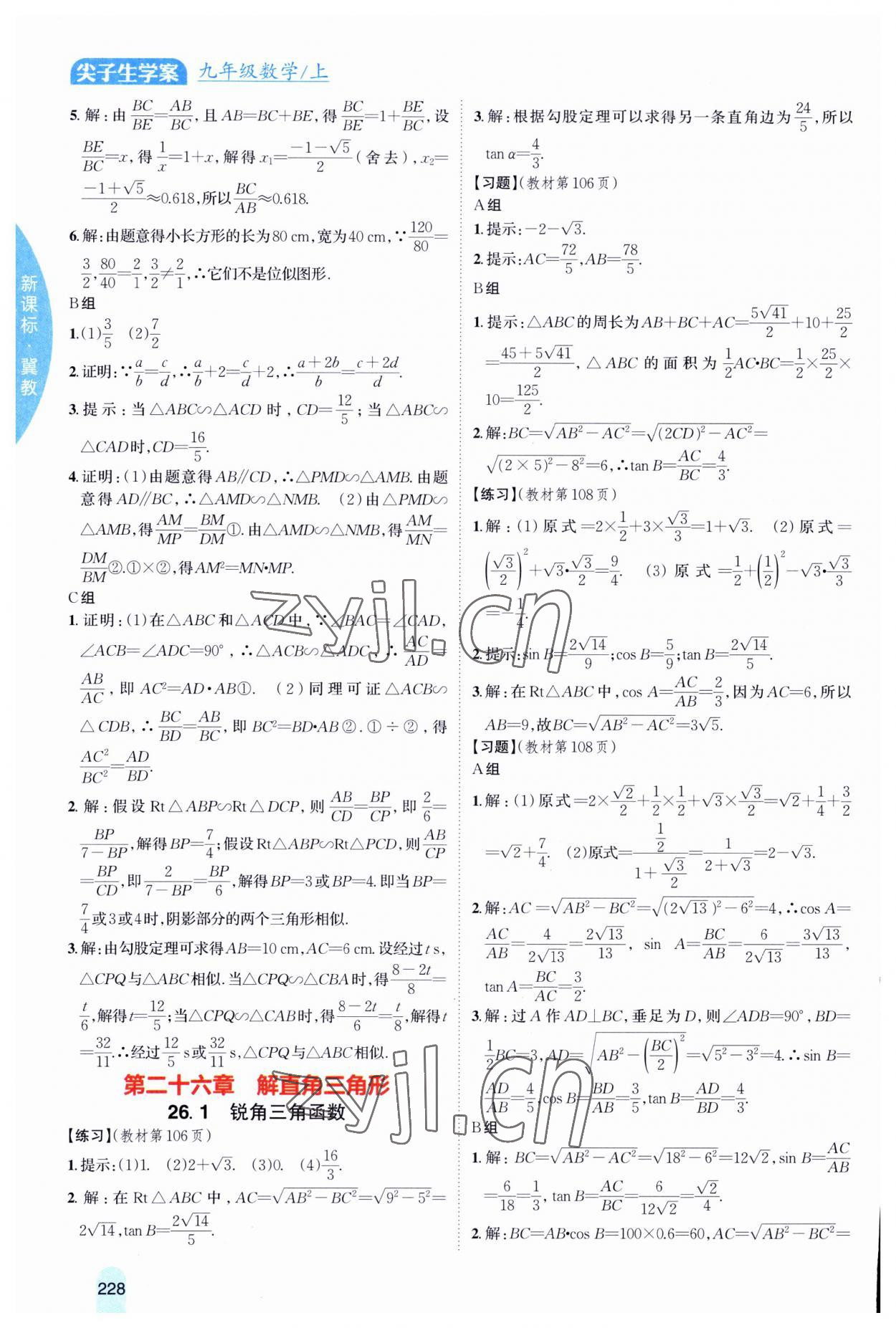 2023年尖子生学案九年级数学上册冀教版 第10页
