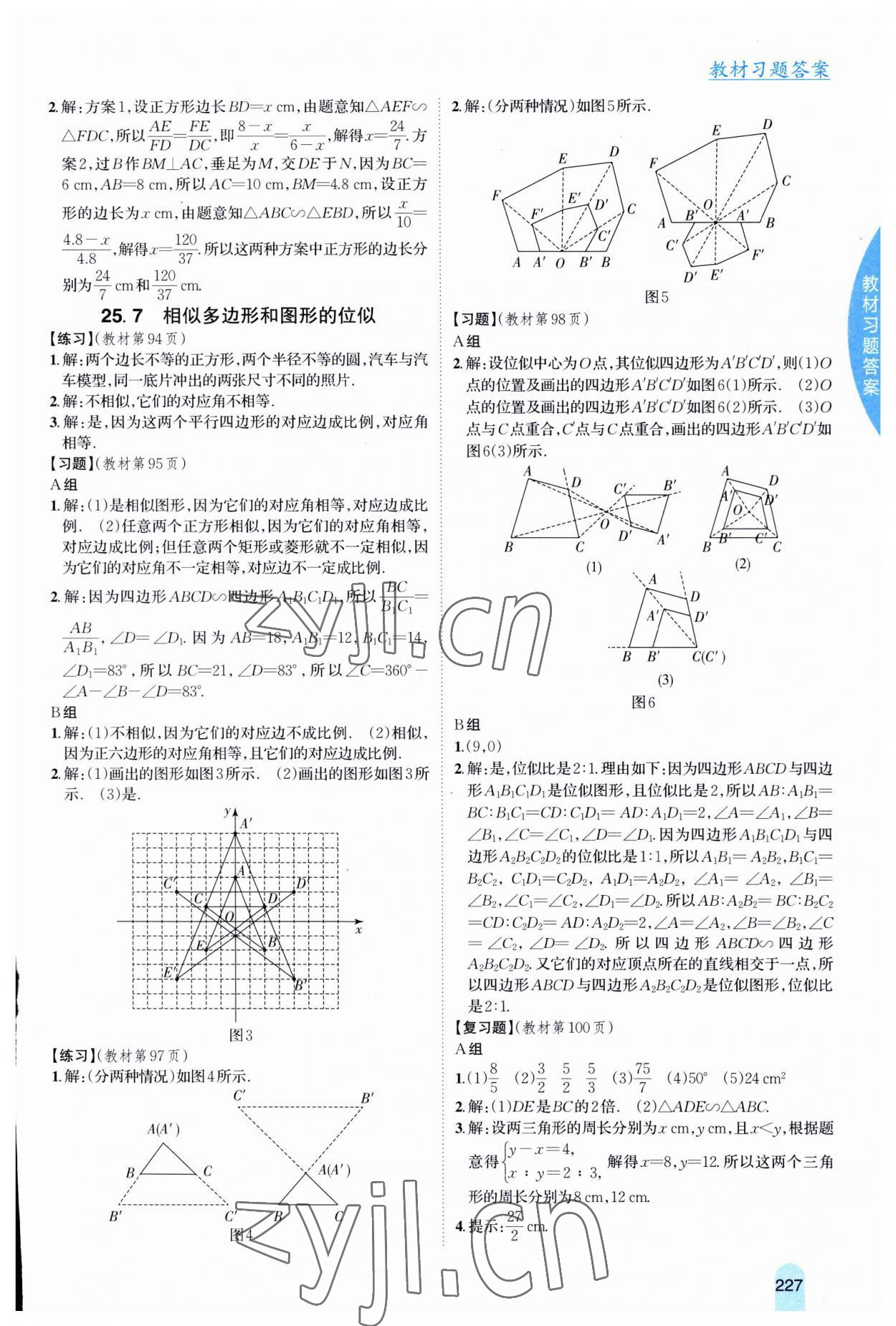 2023年尖子生学案九年级数学上册冀教版 第9页