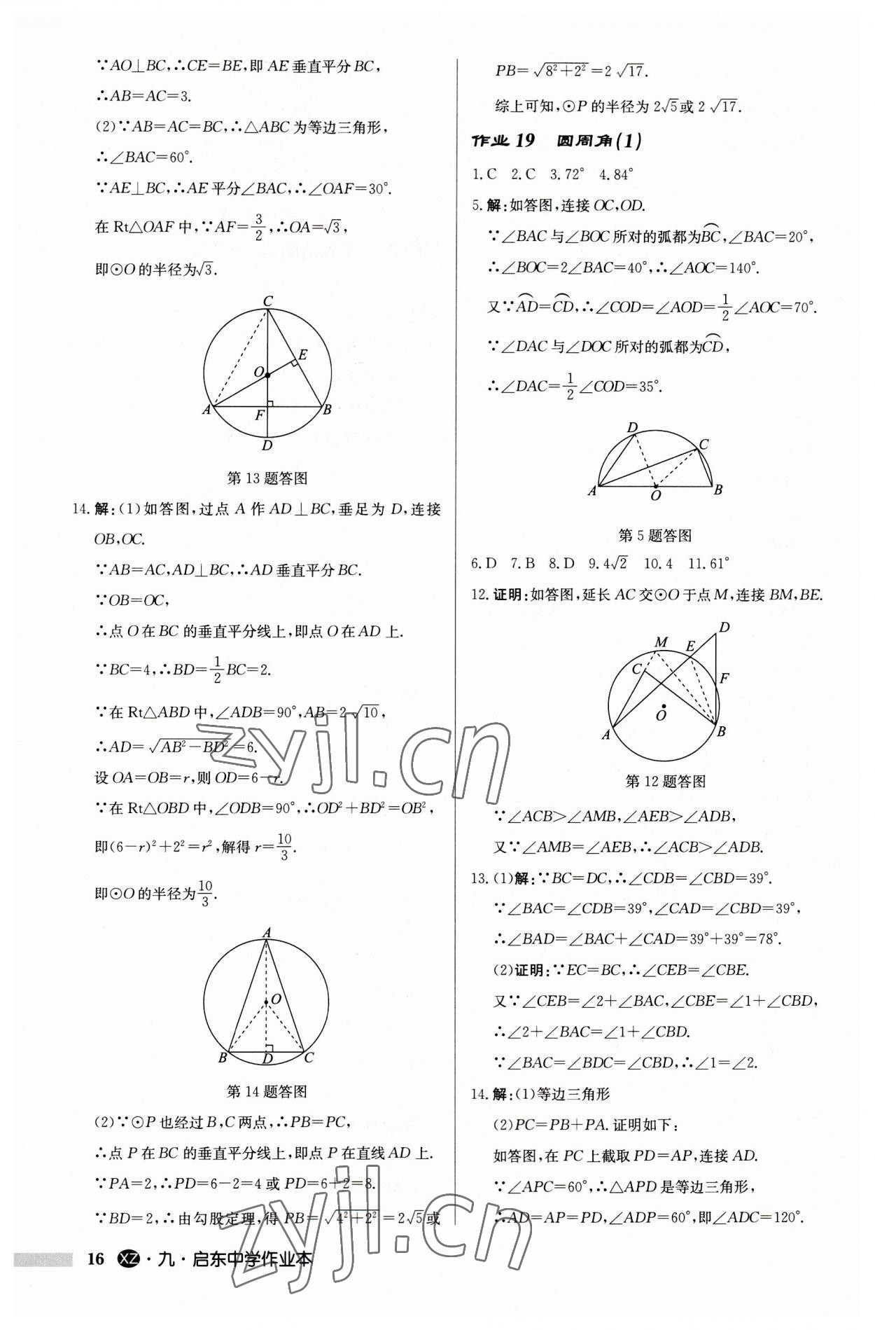 2023年启东中学作业本九年级数学上册苏科版徐州专版 第16页