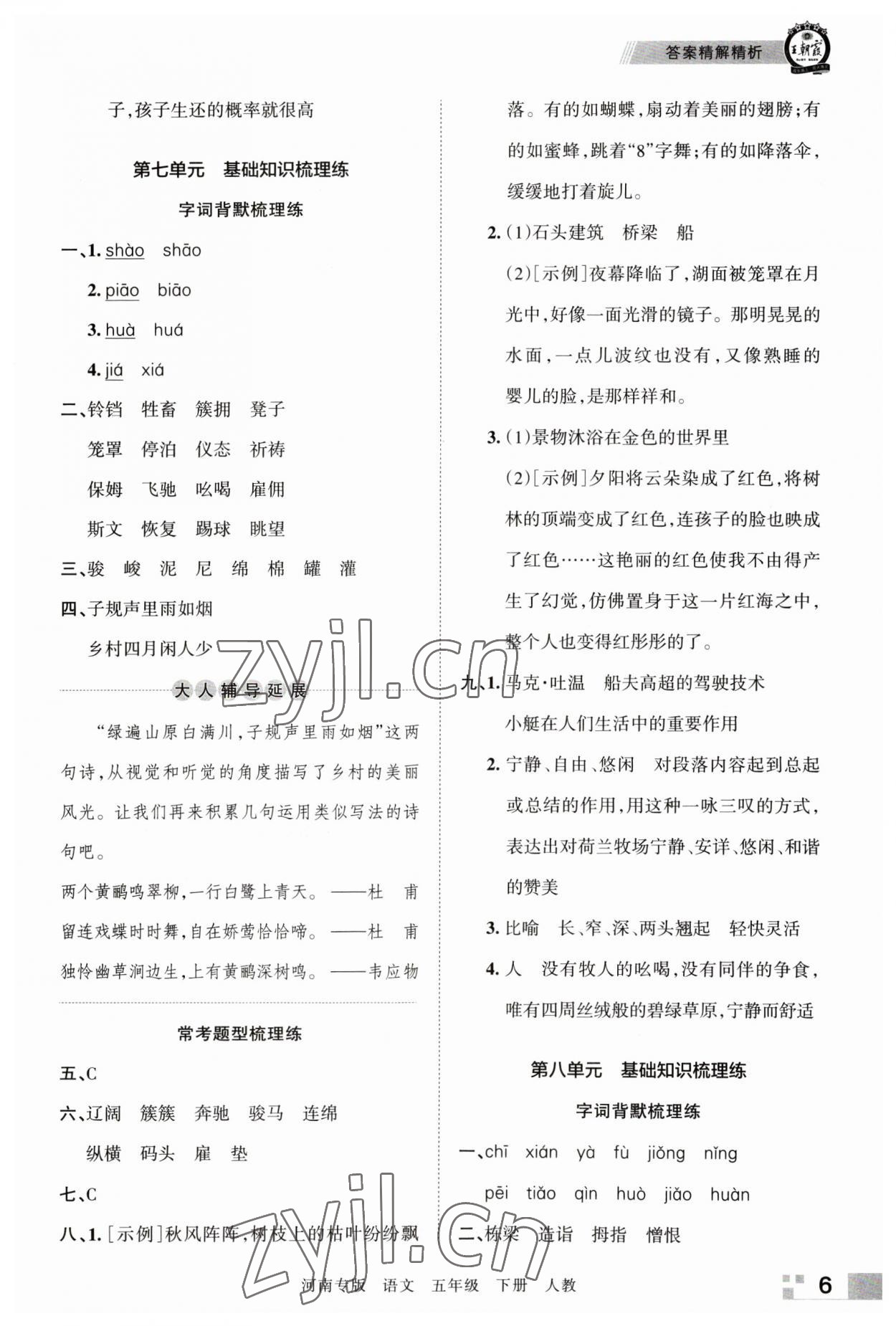 2023年王朝霞各地期末试卷精选五年级语文下册人教版河南专版 参考答案第6页