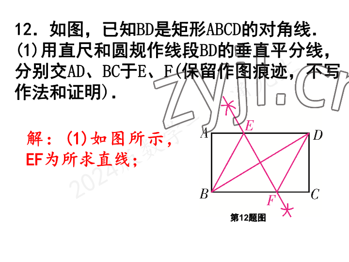 2023年一本通武汉出版社九年级数学上册北师大版 参考答案第25页