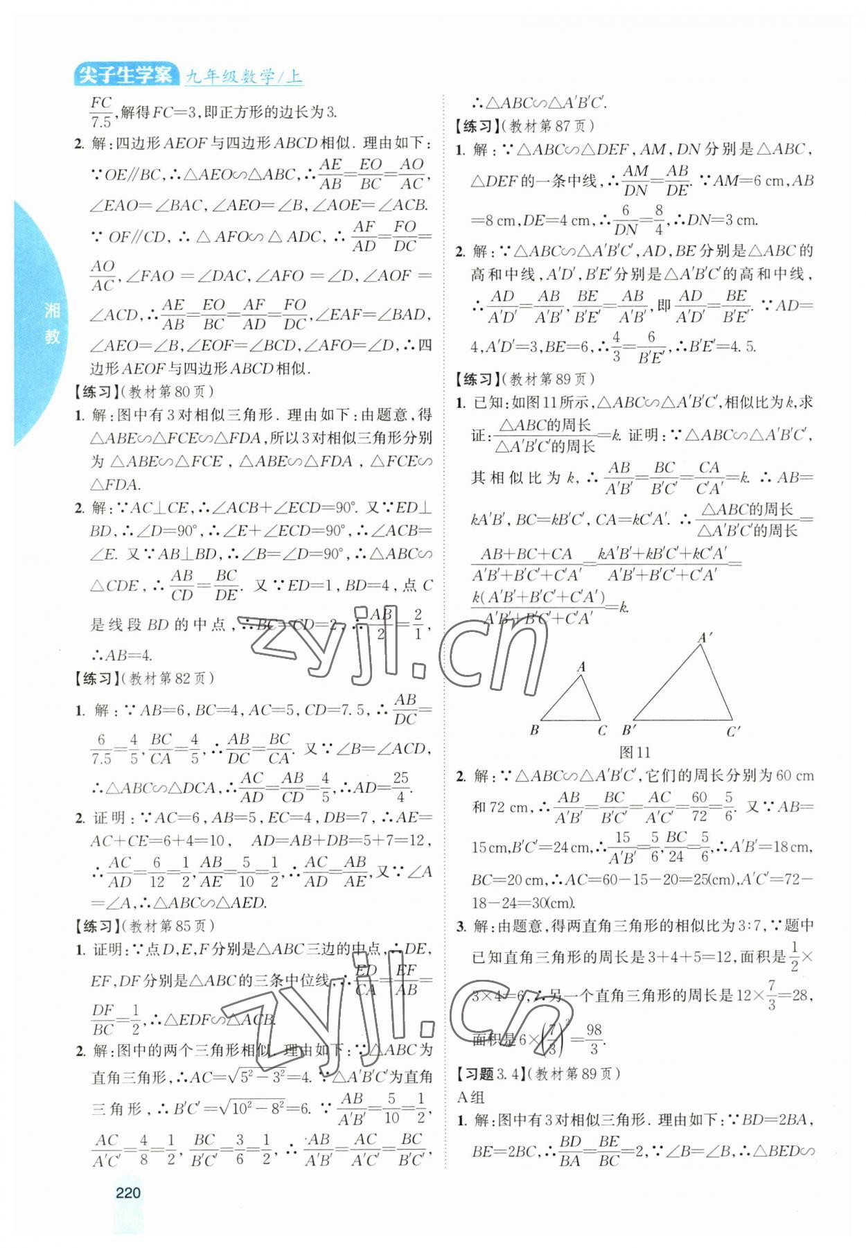2023年尖子生学案九年级数学上册湘教版 参考答案第13页