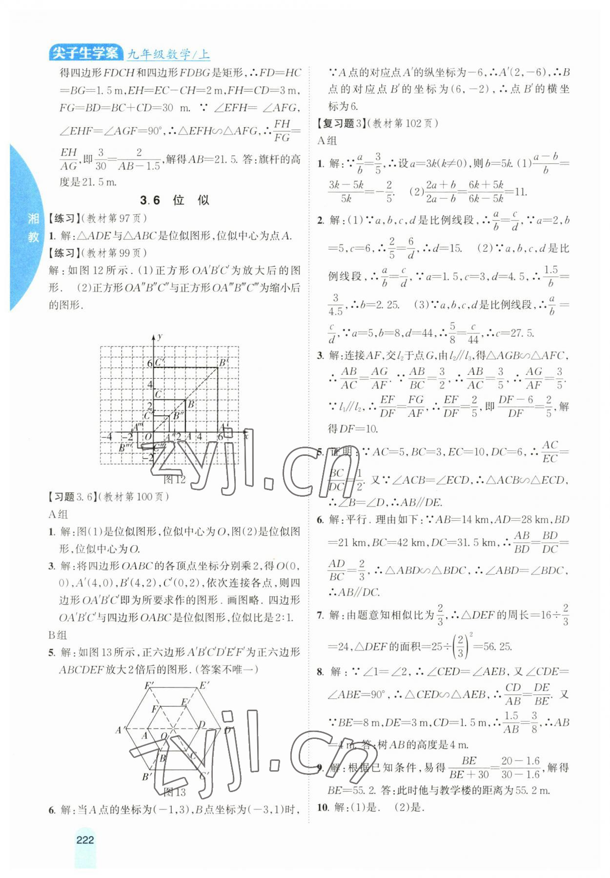 2023年尖子生学案九年级数学上册湘教版 参考答案第15页