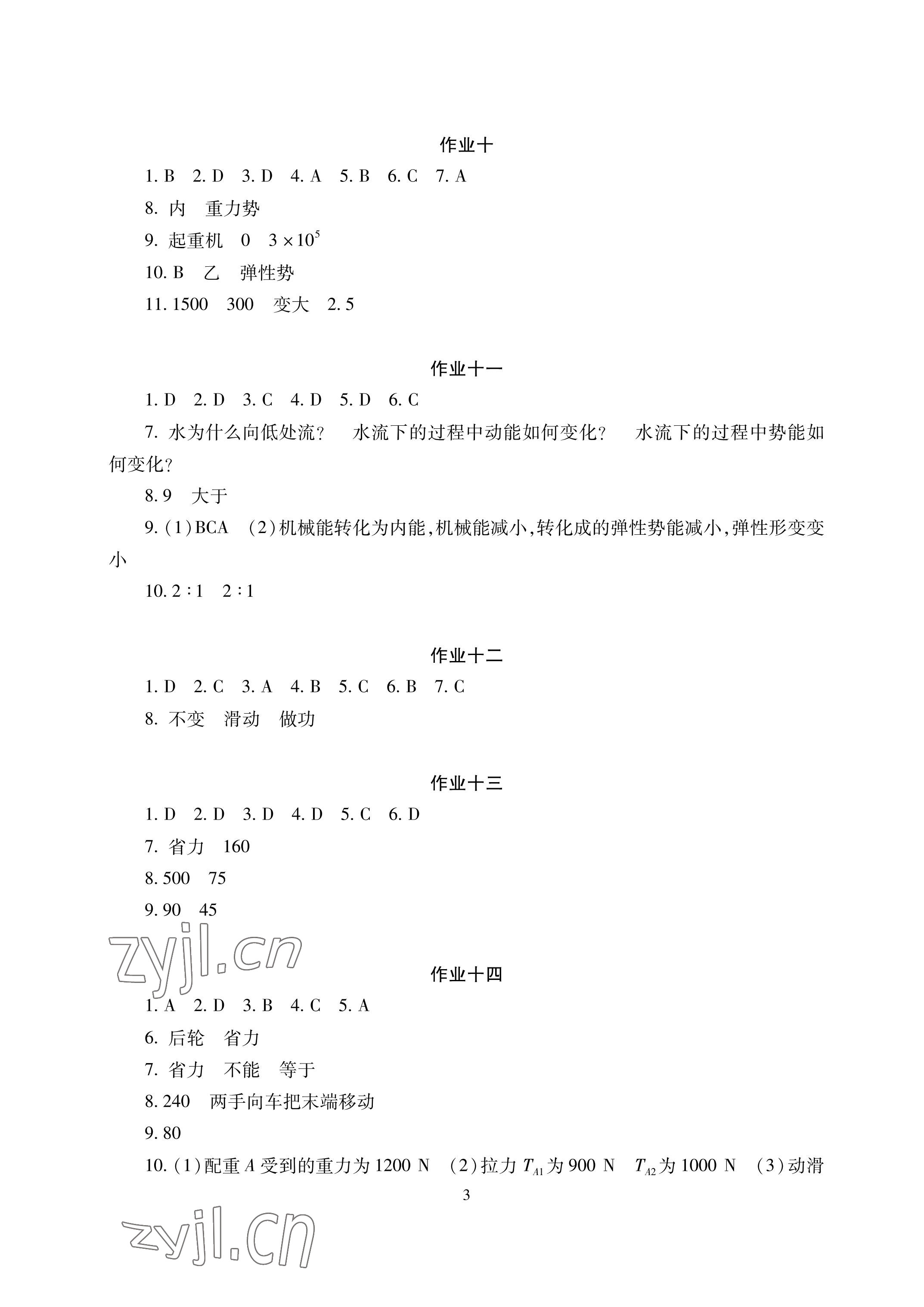 2023年暑假生活八年级副科湖南少年儿童出版社 参考答案第3页