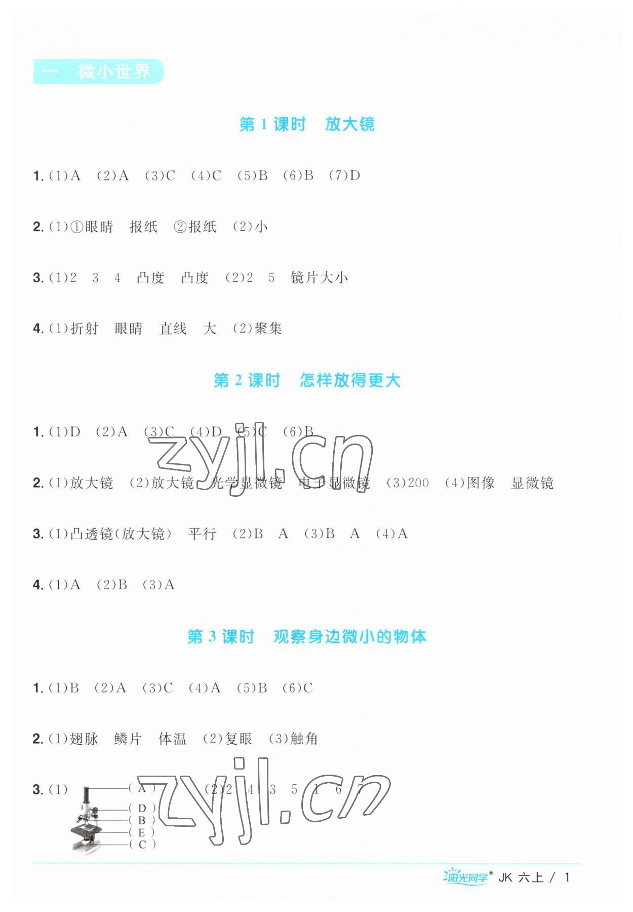 2023年阳光同学课时优化作业六年级科学上册教科版 第1页