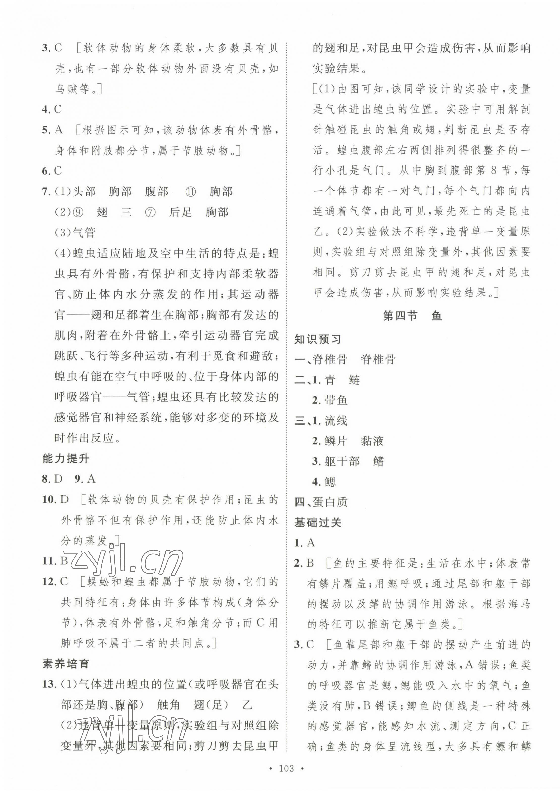 2023年思路教練同步課時(shí)作業(yè)八年級(jí)生物上冊(cè)人教版 參考答案第3頁(yè)