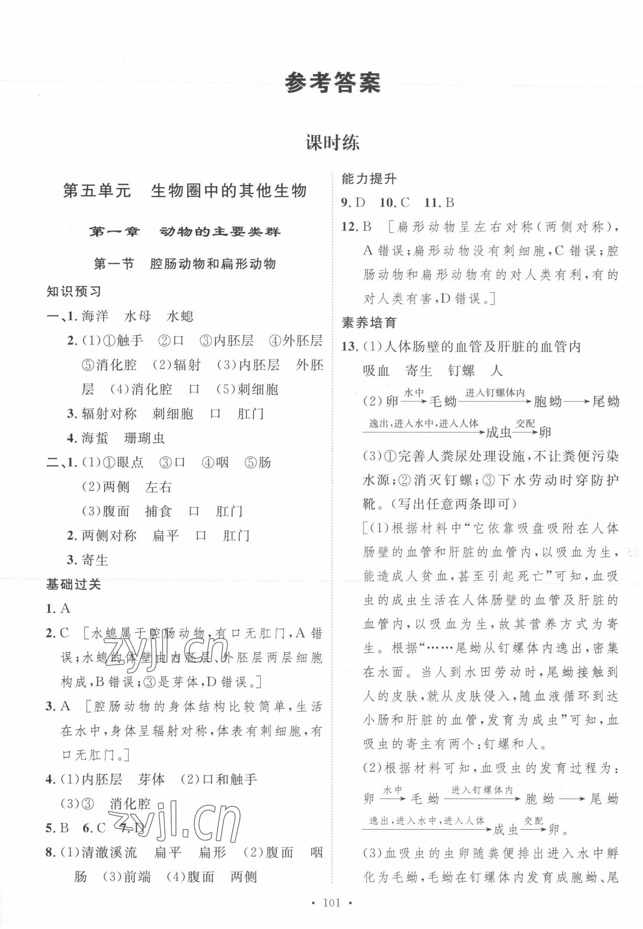 2023年思路教練同步課時作業(yè)八年級生物上冊人教版 參考答案第1頁