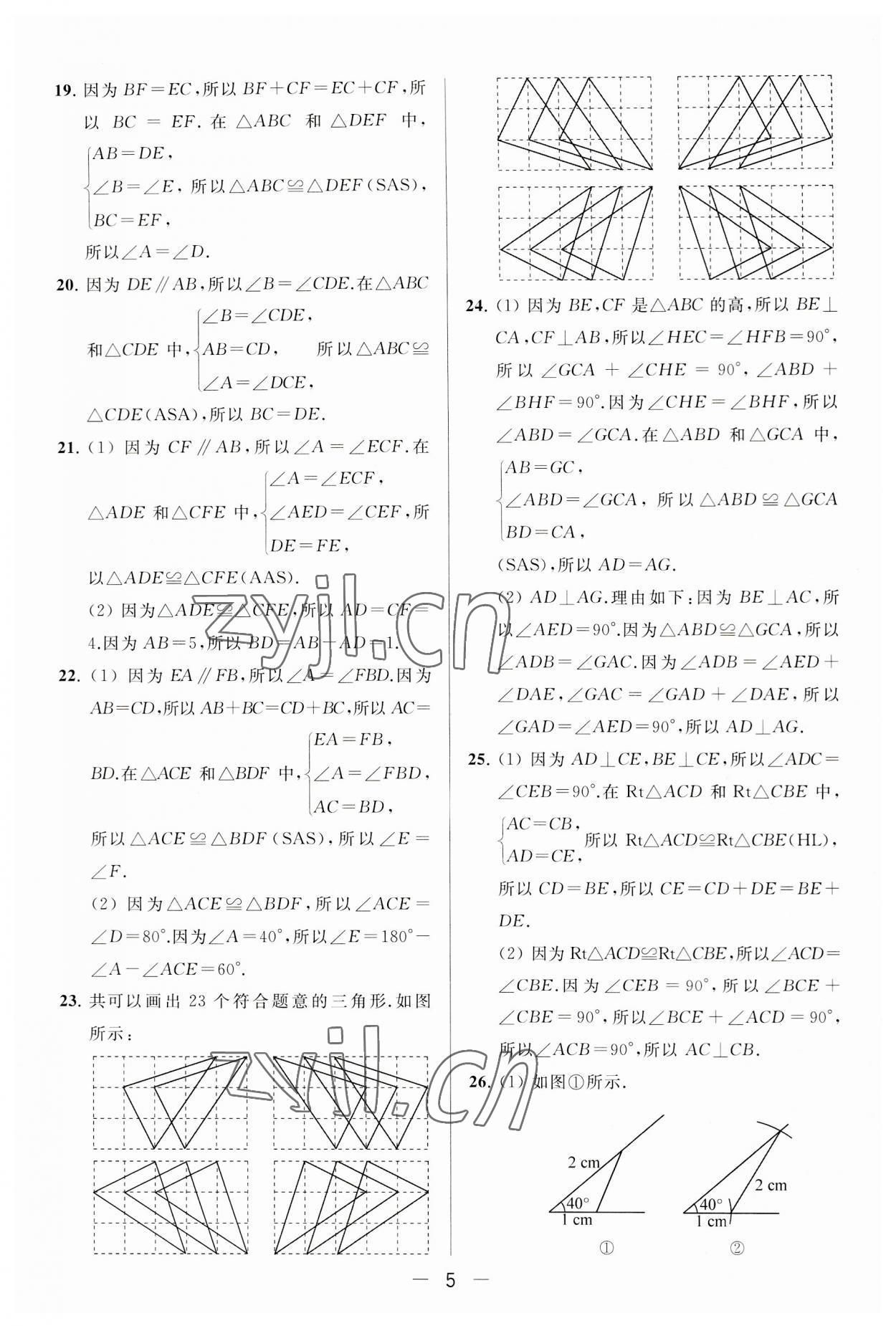 2023年亮点给力大试卷八年级数学上册苏科版 第5页