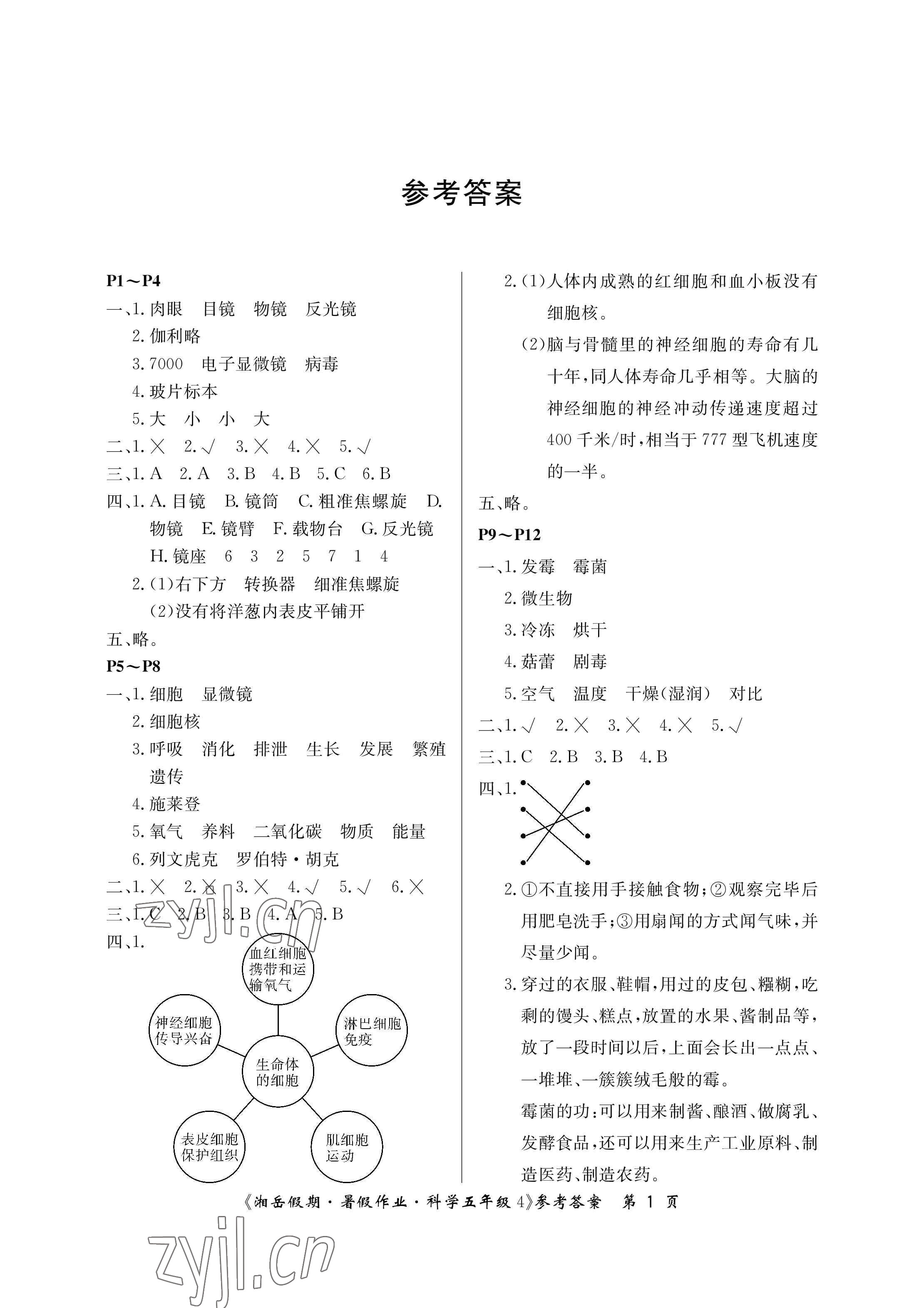 2023年湘岳假期暑假作業(yè)五年級(jí)科學(xué)湘科版第四版 參考答案第1頁