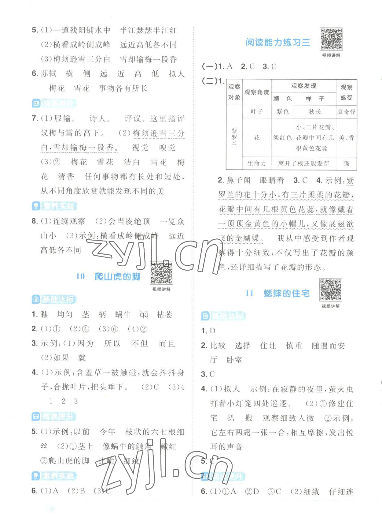 2023年阳光同学课时优化作业四年级语文上册人教版菏泽专版 第6页