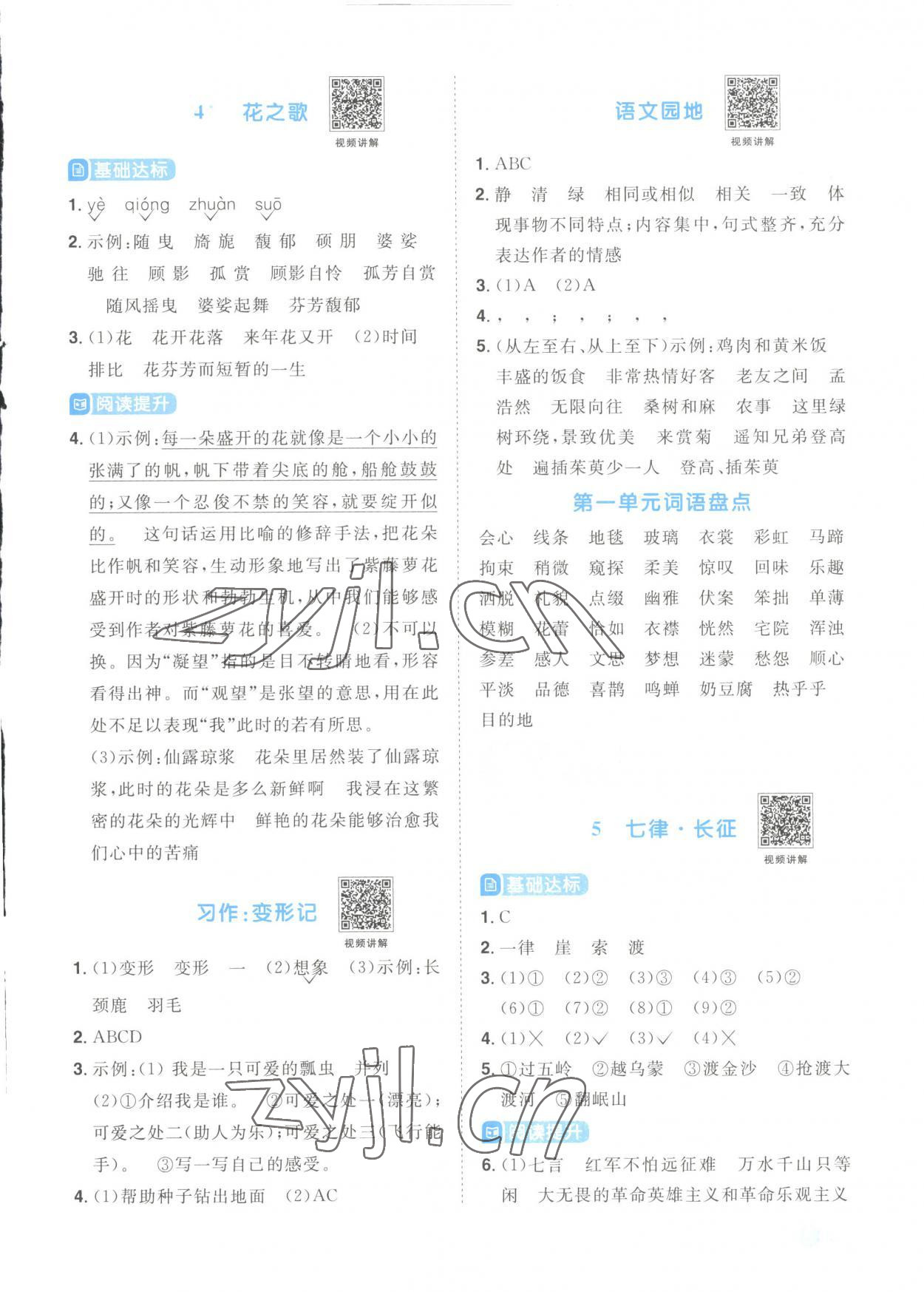 2023年阳光同学课时优化作业六年级语文上册人教版菏泽专版 参考答案第3页