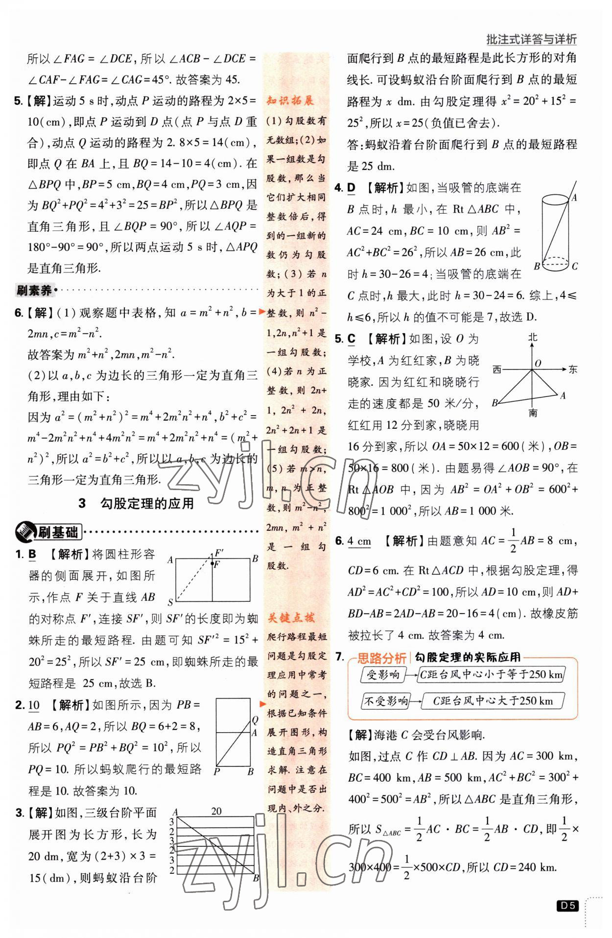 2023年初中必刷題八年級(jí)數(shù)學(xué)上冊(cè)北師大版 第5頁