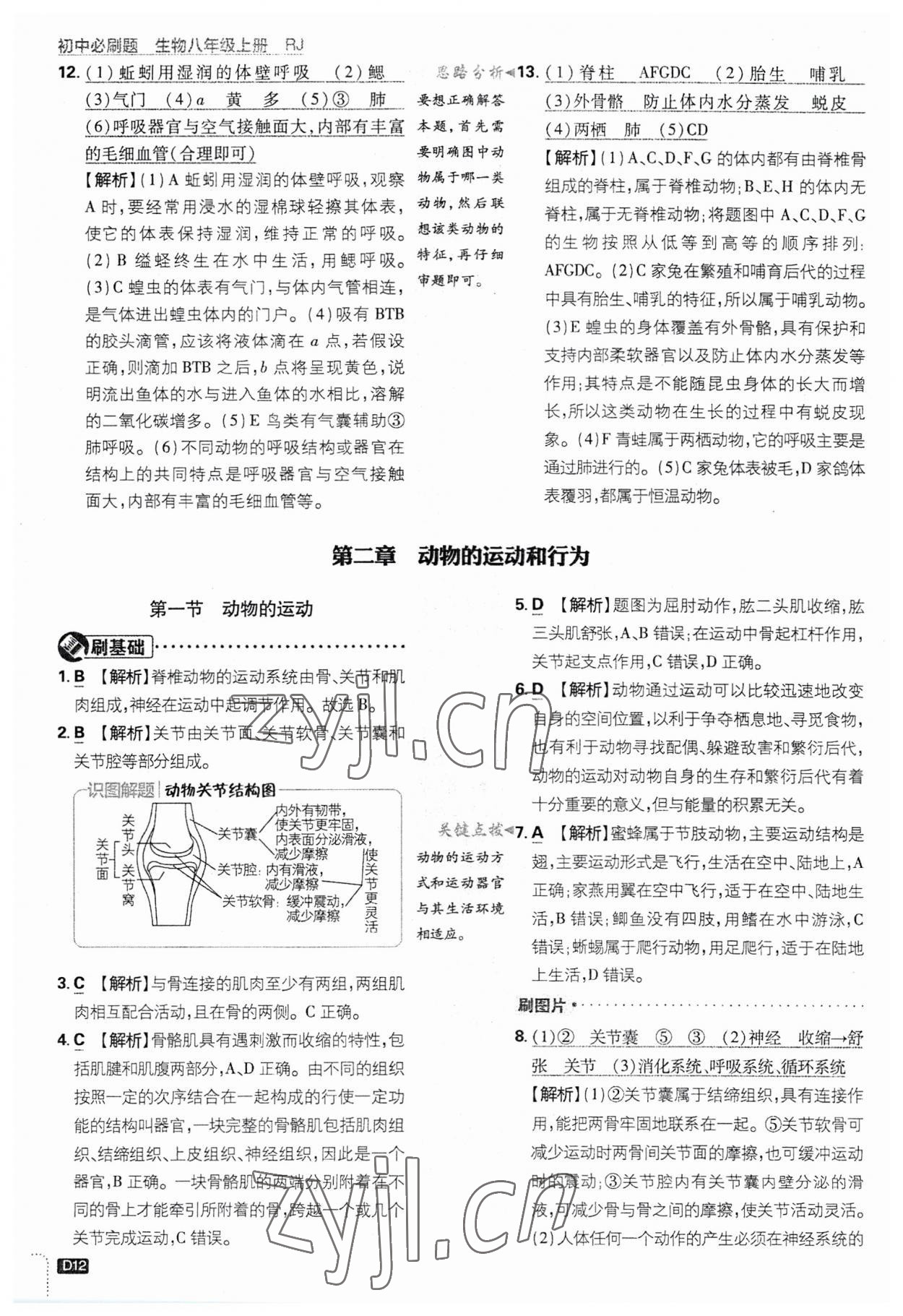 2023年初中必刷題八年級生物上冊人教版 第12頁