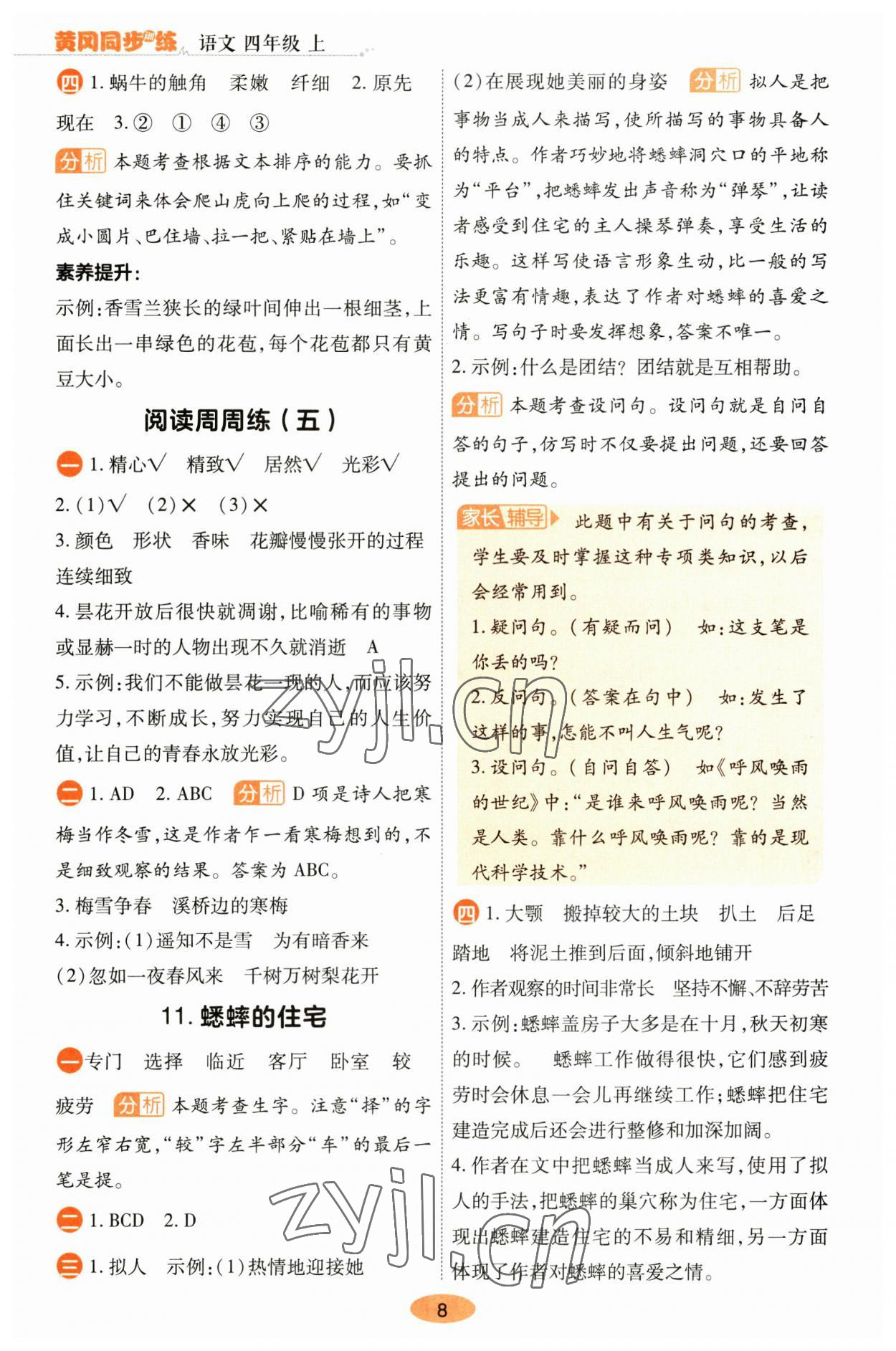 2023年黄冈同步训练四年级语文上册人教版 参考答案第8页