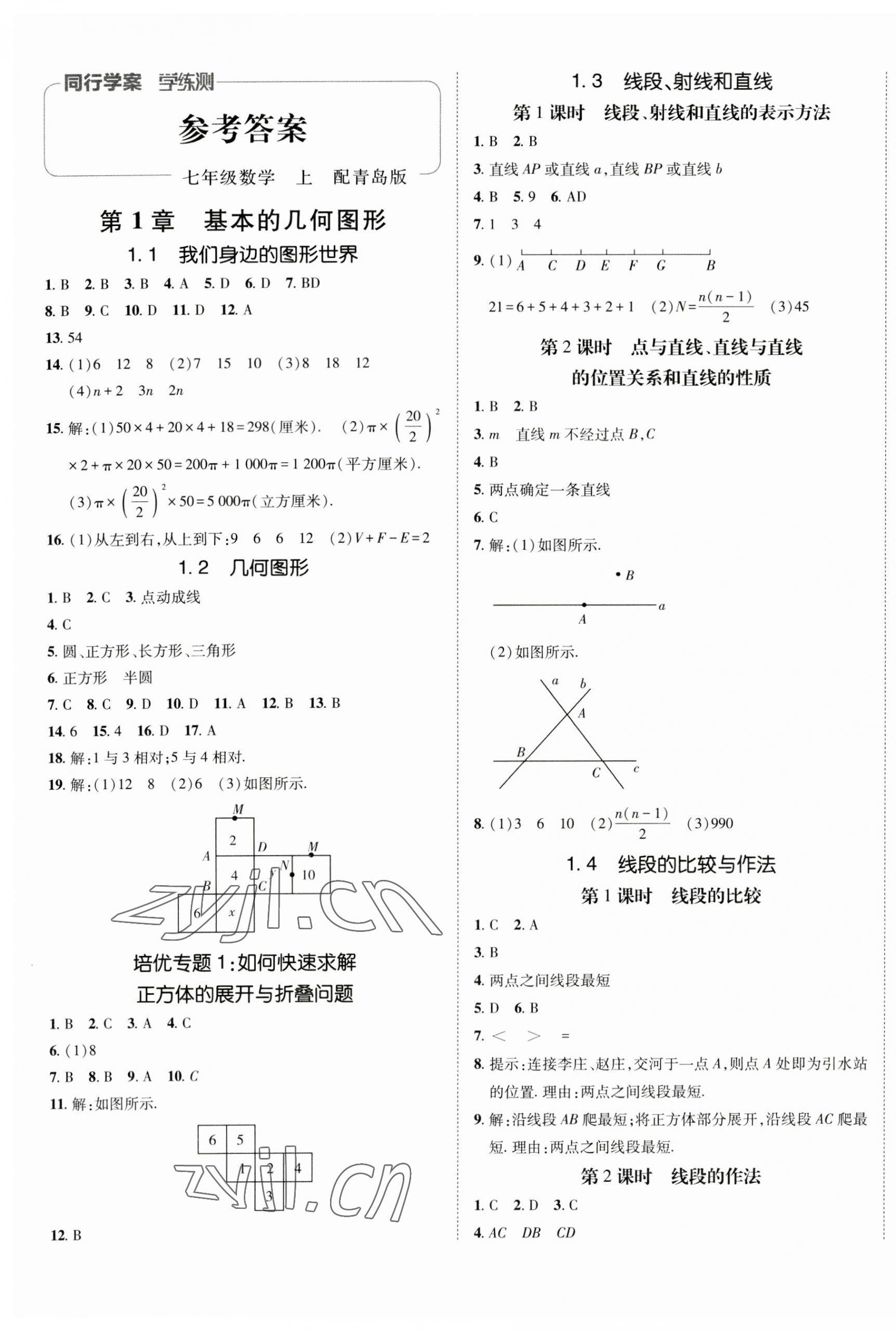 2023年同行学案七年级数学上册青岛版 第1页