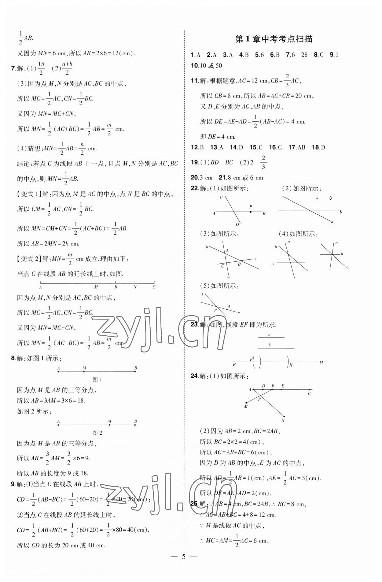 2023年初中新课标名师学案智慧大课堂七年级数学上册青岛版 第5页