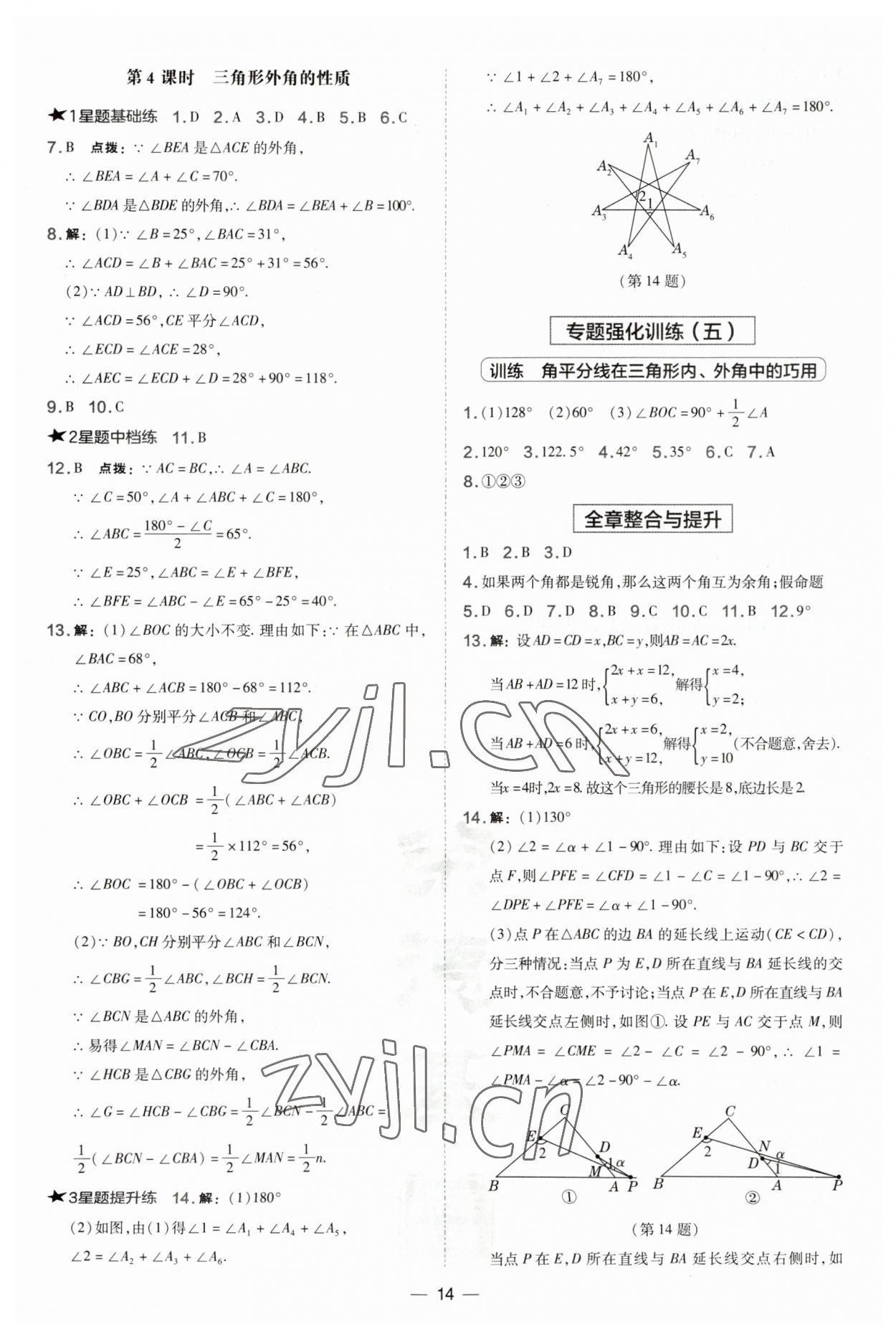 2023年点拨训练八年级数学上册沪科版安徽专版 第14页