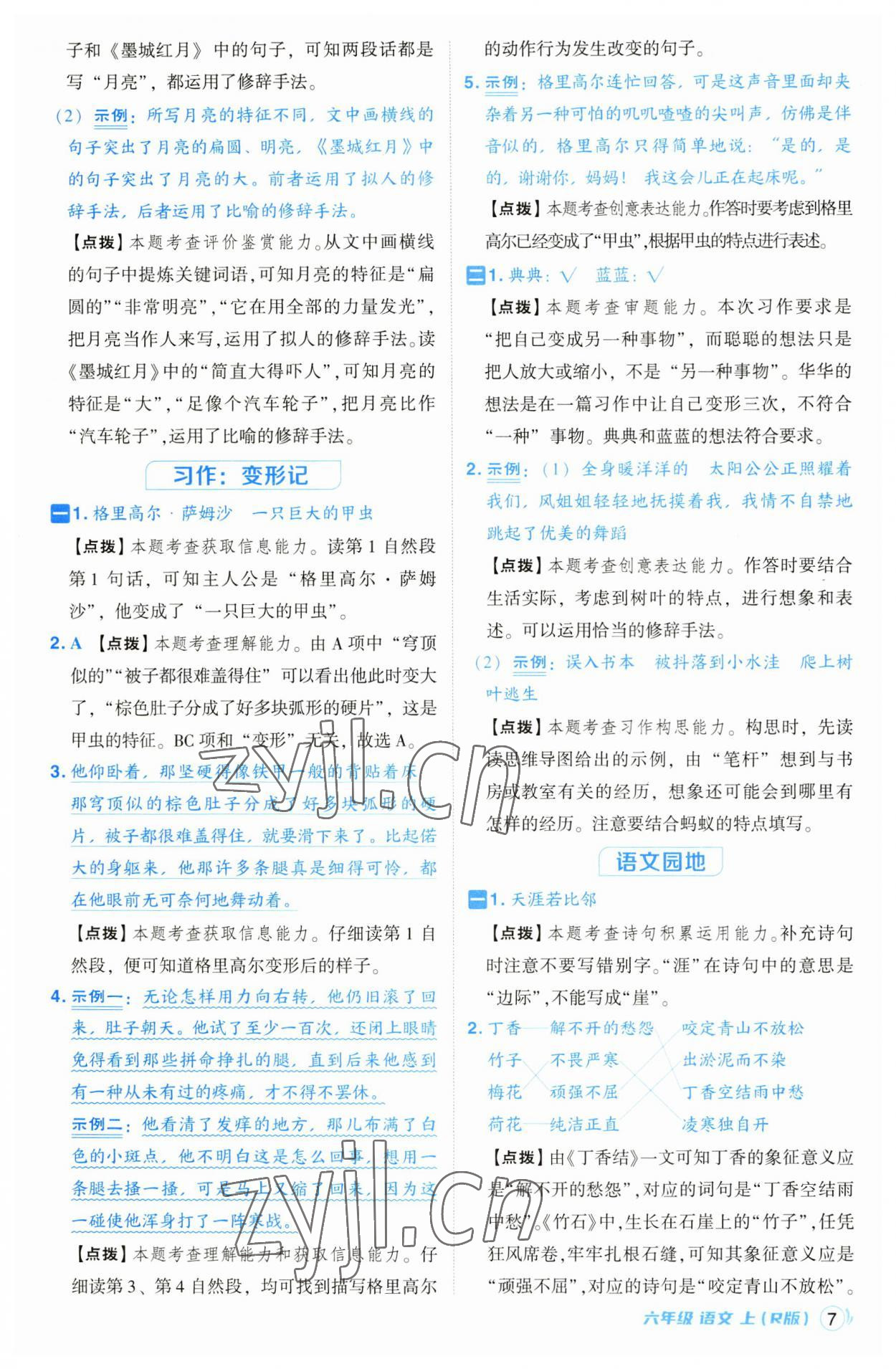 2023年綜合應(yīng)用創(chuàng)新題典中點六年級語文上冊人教版 第7頁