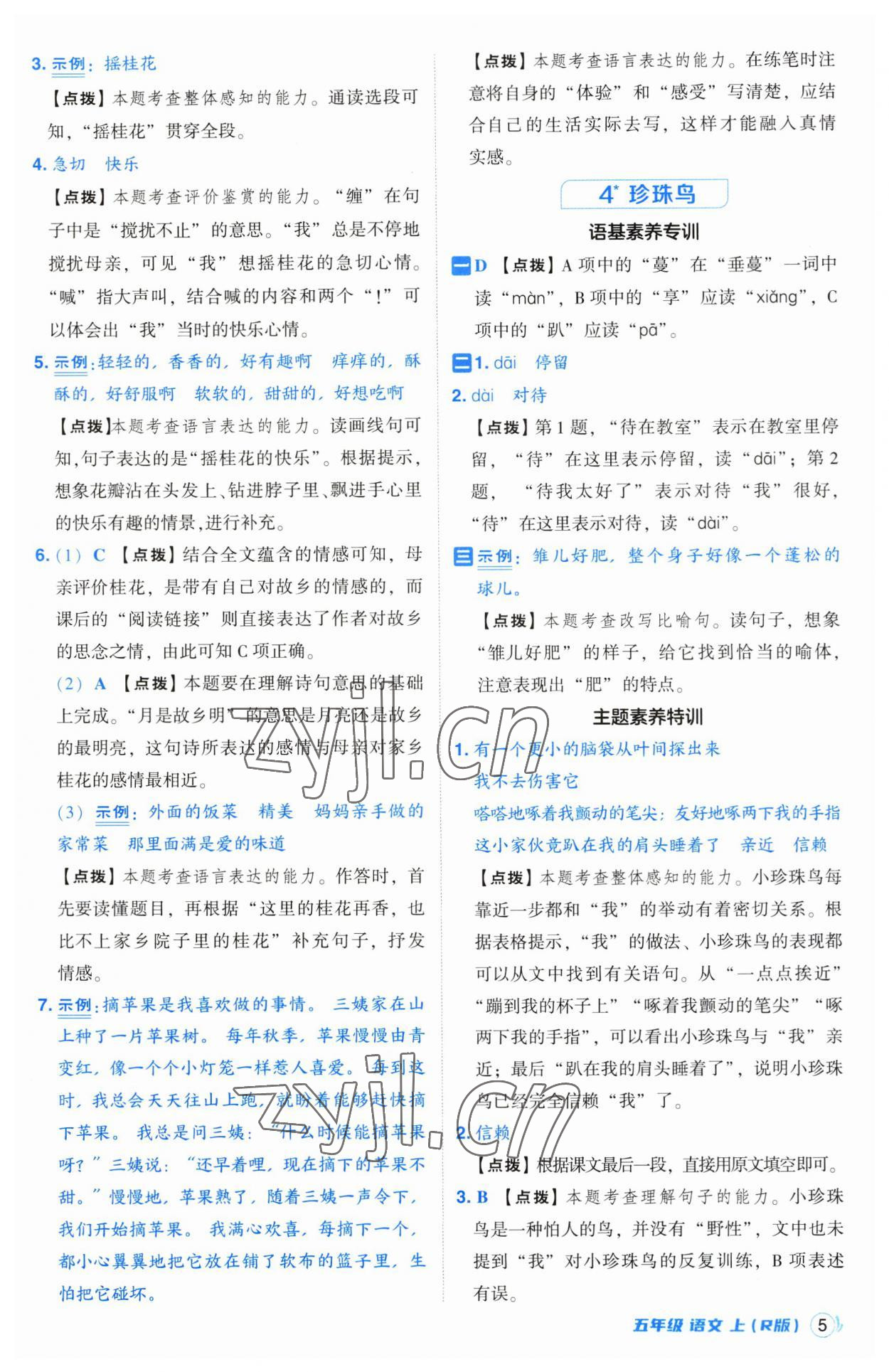 2023年綜合應(yīng)用創(chuàng)新題典中點(diǎn)五年級語文上冊人教版 參考答案第5頁