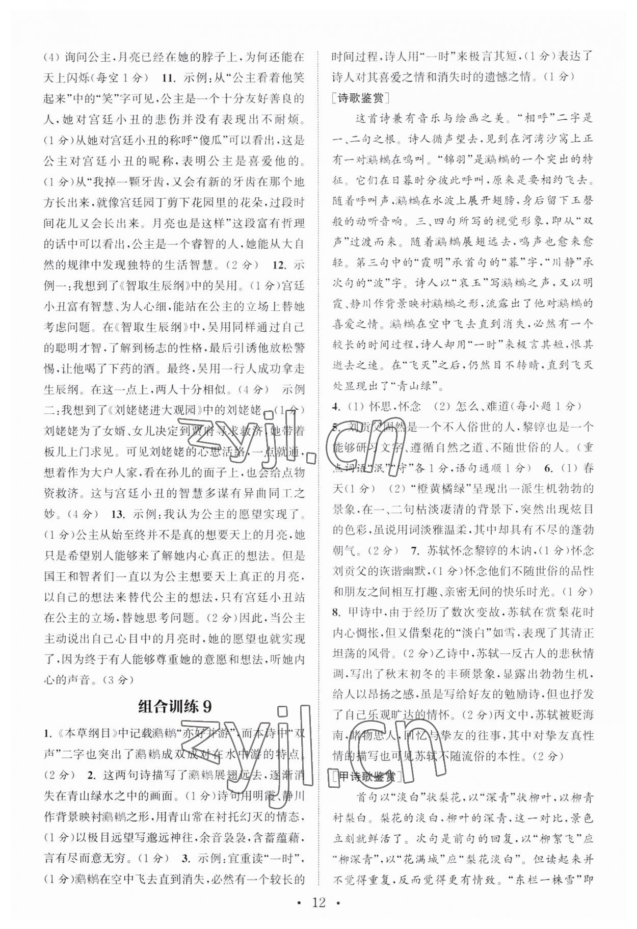 2023年通城学典初中语文阅读训练组合训练九年级南通专版 第12页