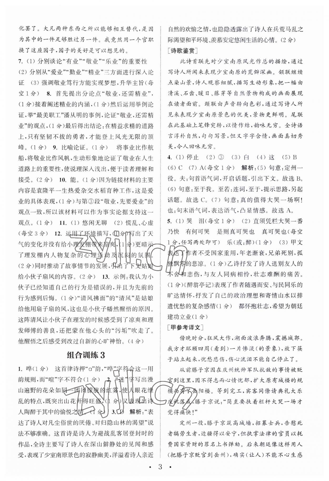 2023年通城学典初中语文阅读训练组合训练九年级南通专版 第3页