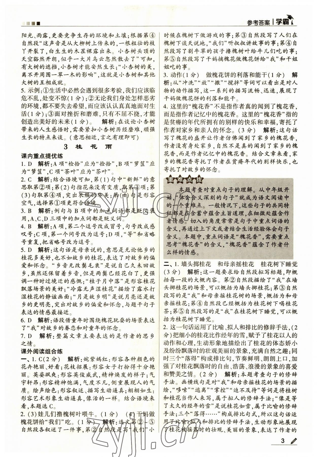 2023年經(jīng)綸學(xué)典學(xué)霸五年級語文上冊人教版 第3頁