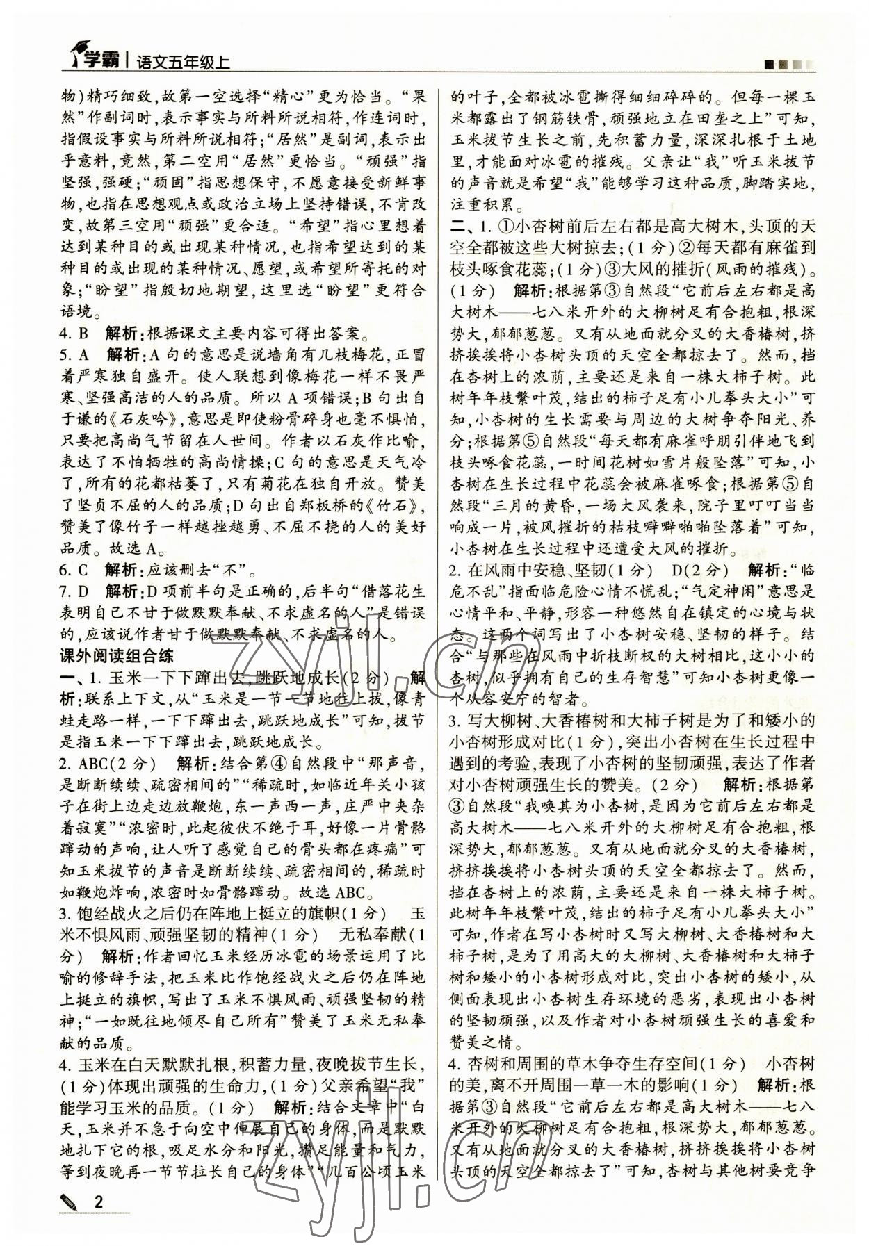 2023年經(jīng)綸學(xué)典學(xué)霸五年級語文上冊人教版 第2頁