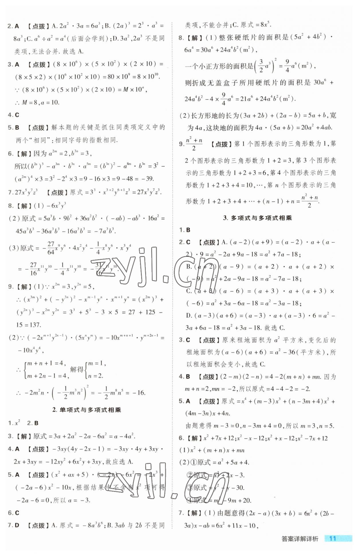 2023年综合应用创新题典中点八年级数学上册华师大版 第11页