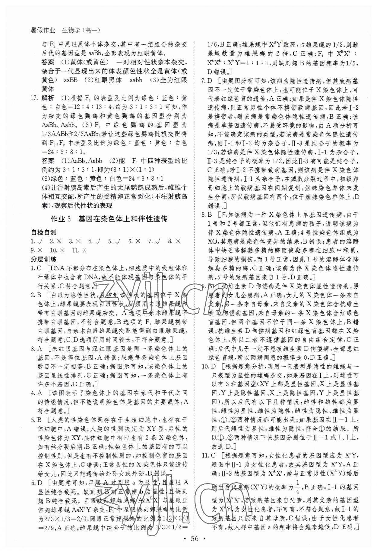 2023年暑假作业黑龙江教育出版社高一生物 第4页