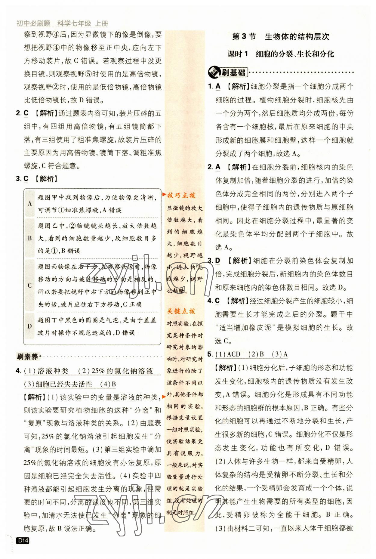2023年初中必刷题七年级科学上册浙教版浙江专版 第14页