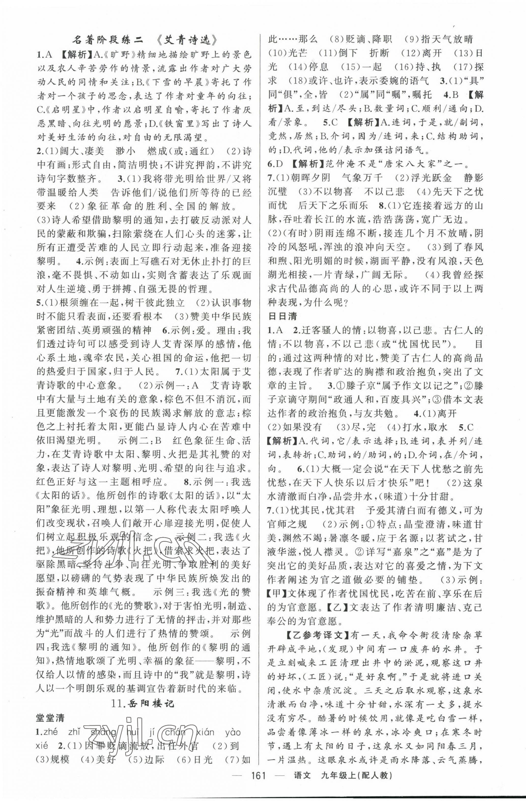 2023年四清導(dǎo)航九年級(jí)語文上冊人教版 第5頁