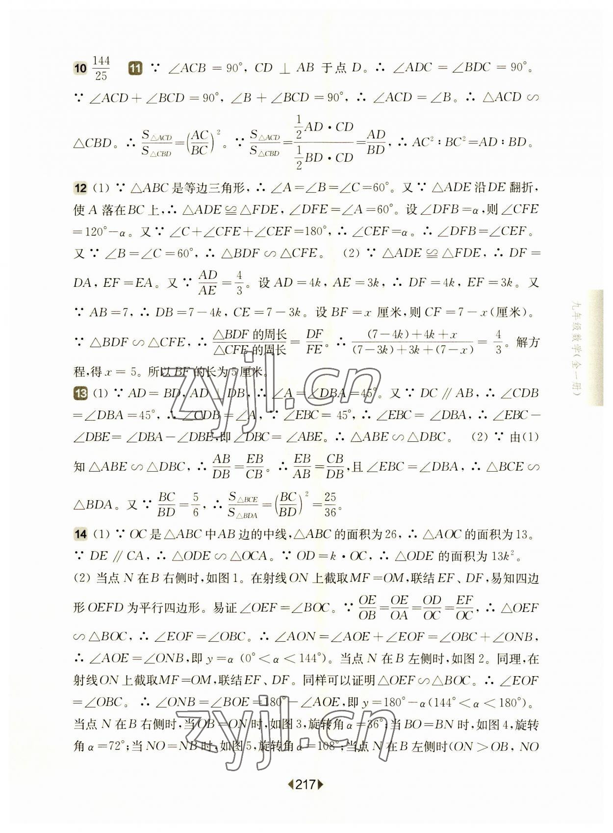 2023年华东师大版一课一练九年级数学全一册沪教版54制 参考答案第13页