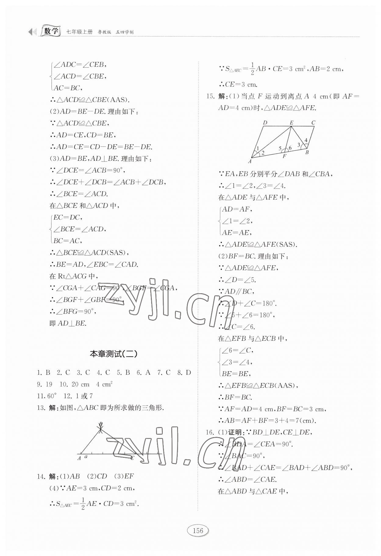 2023年同步练习册山东科学技术出版社七年级数学上册鲁教版 第6页