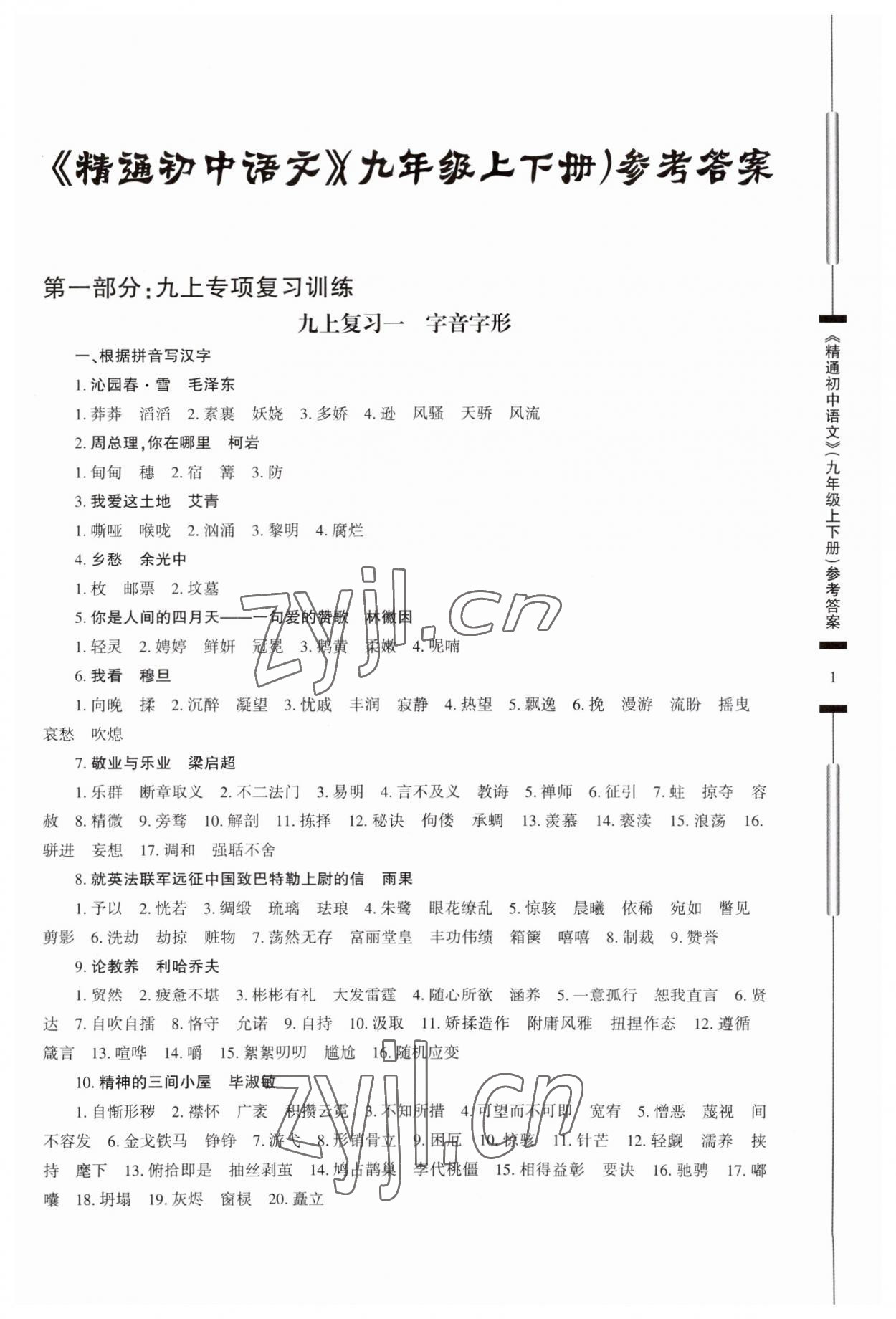 2023年精通初中语文九年级人教版 参考答案第1页