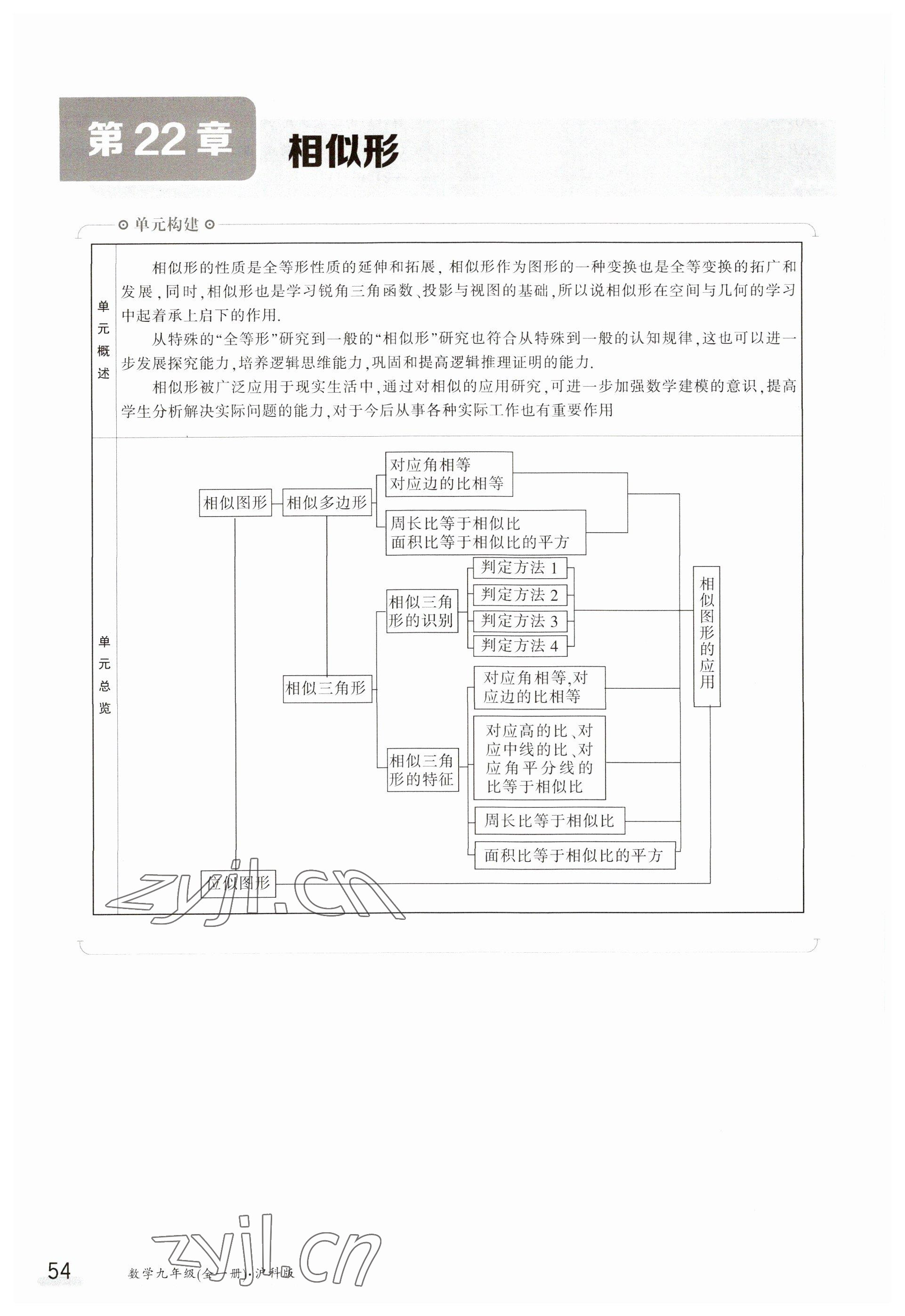 2023年金太陽導學案九年級數學滬科版 參考答案第54頁