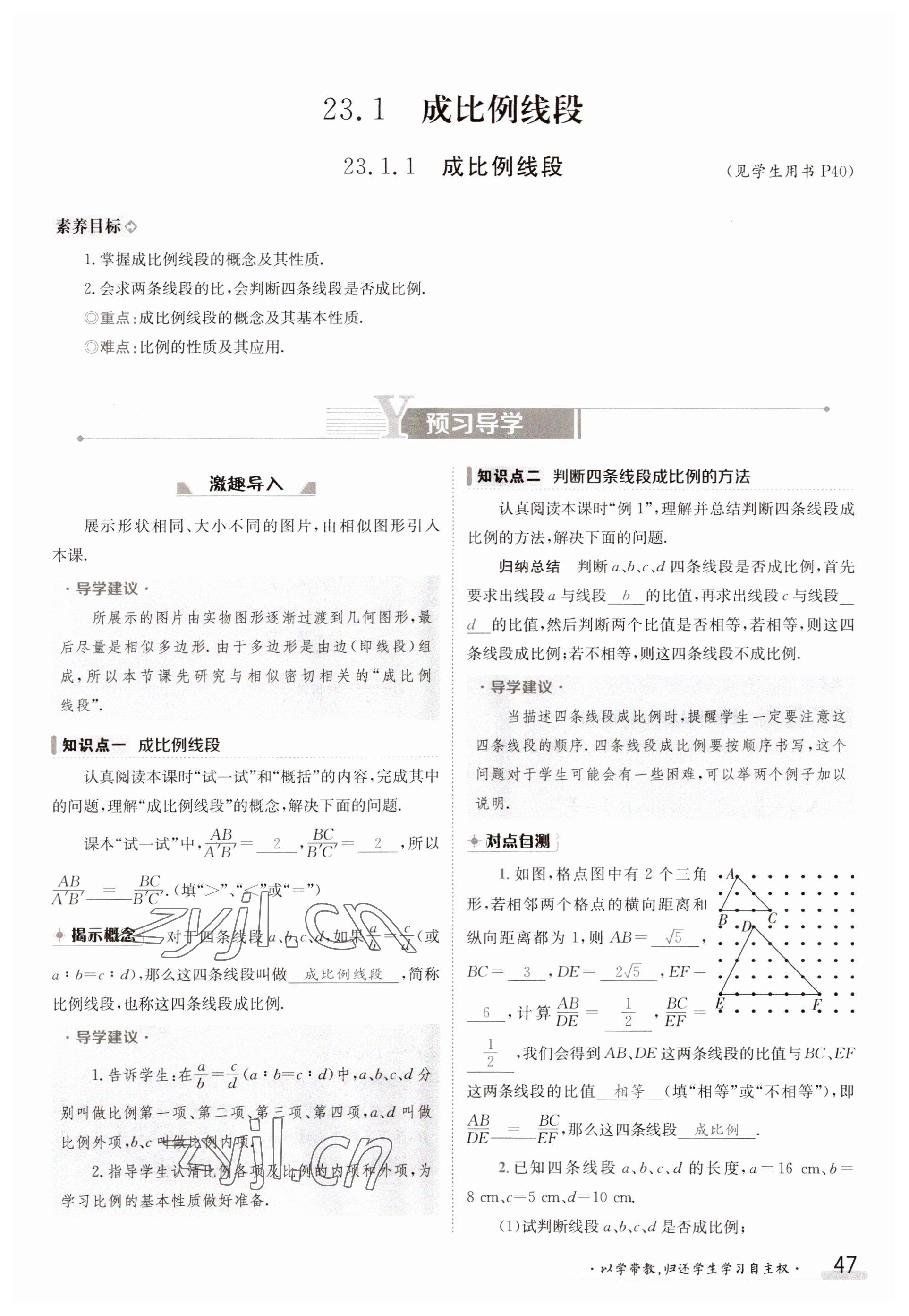 2023年金太阳导学案九年级数学华师大版 参考答案第47页