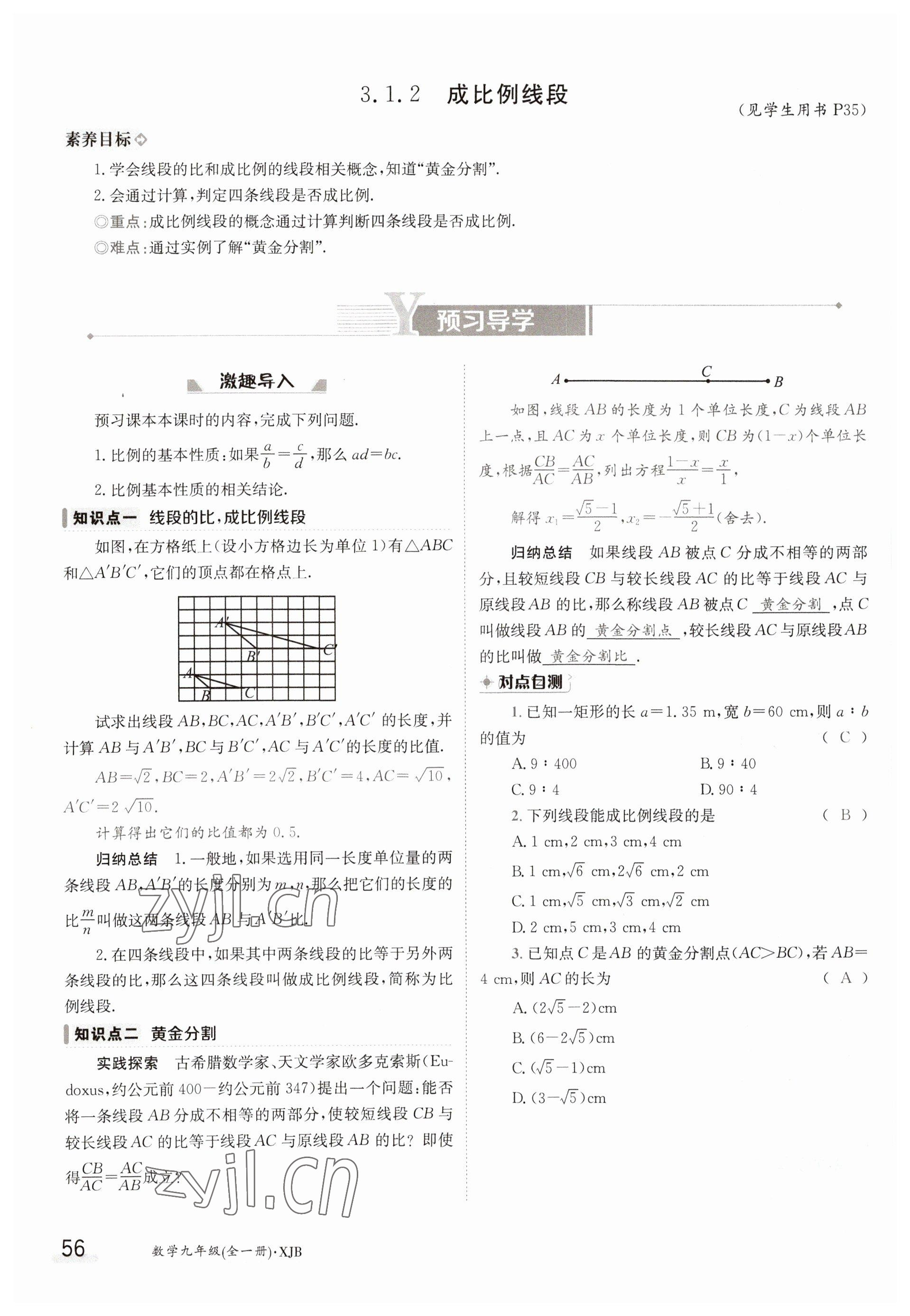 2023年金太陽導學案九年級數(shù)學湘教版 參考答案第56頁