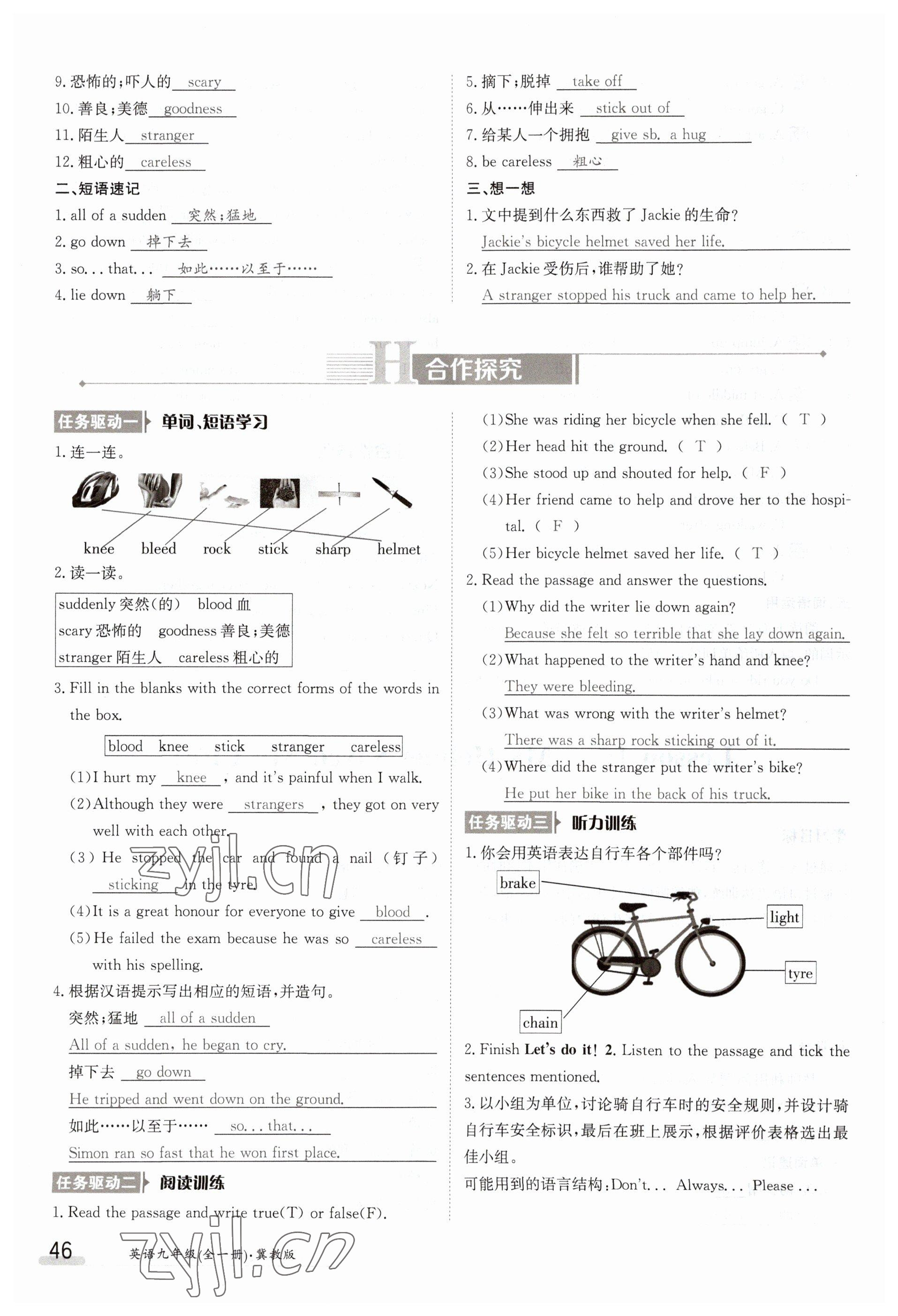 2023年金太陽導(dǎo)學(xué)案九年級(jí)英語冀教版 參考答案第46頁