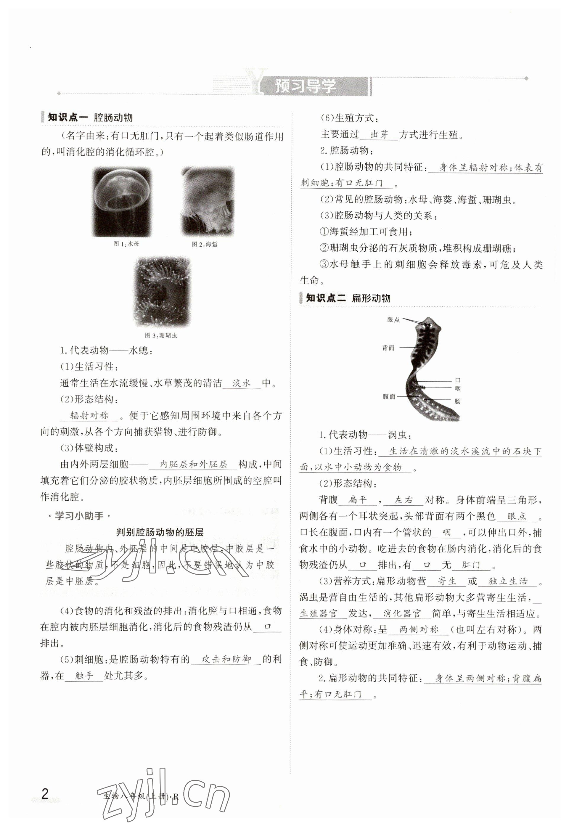 2023年金太阳导学案八年级生物上册人教版 参考答案第2页