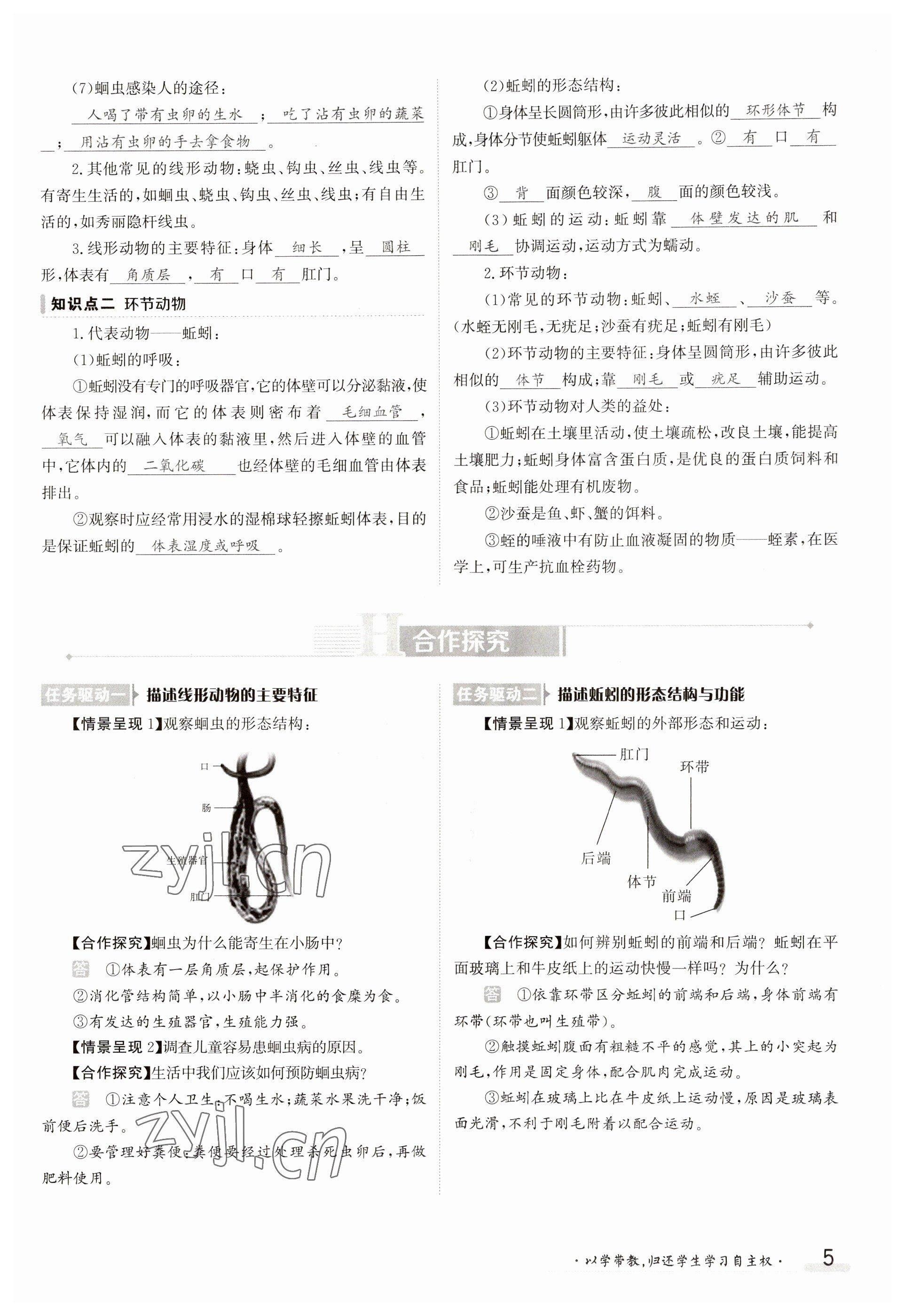 2023年金太陽導(dǎo)學(xué)案八年級(jí)生物上冊(cè)人教版 參考答案第5頁