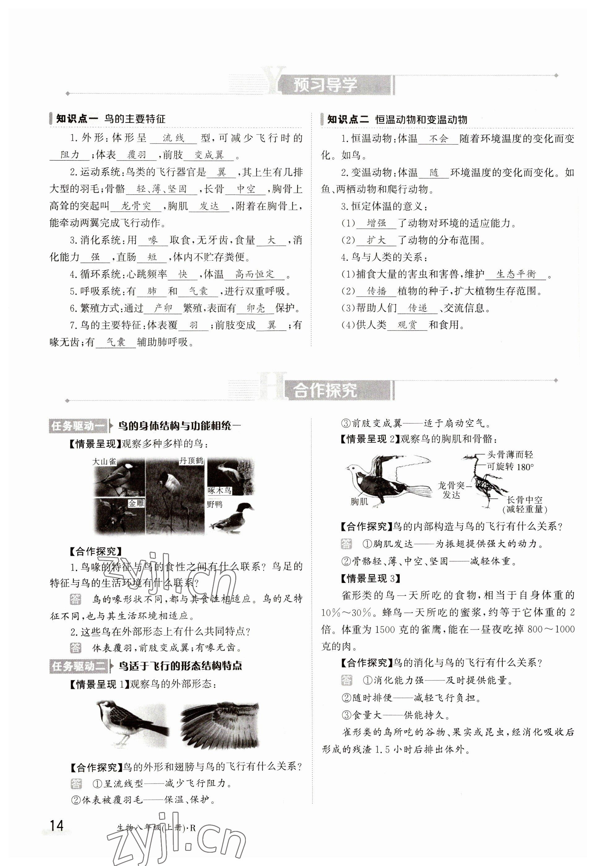 2023年金太陽(yáng)導(dǎo)學(xué)案八年級(jí)生物上冊(cè)人教版 參考答案第14頁(yè)