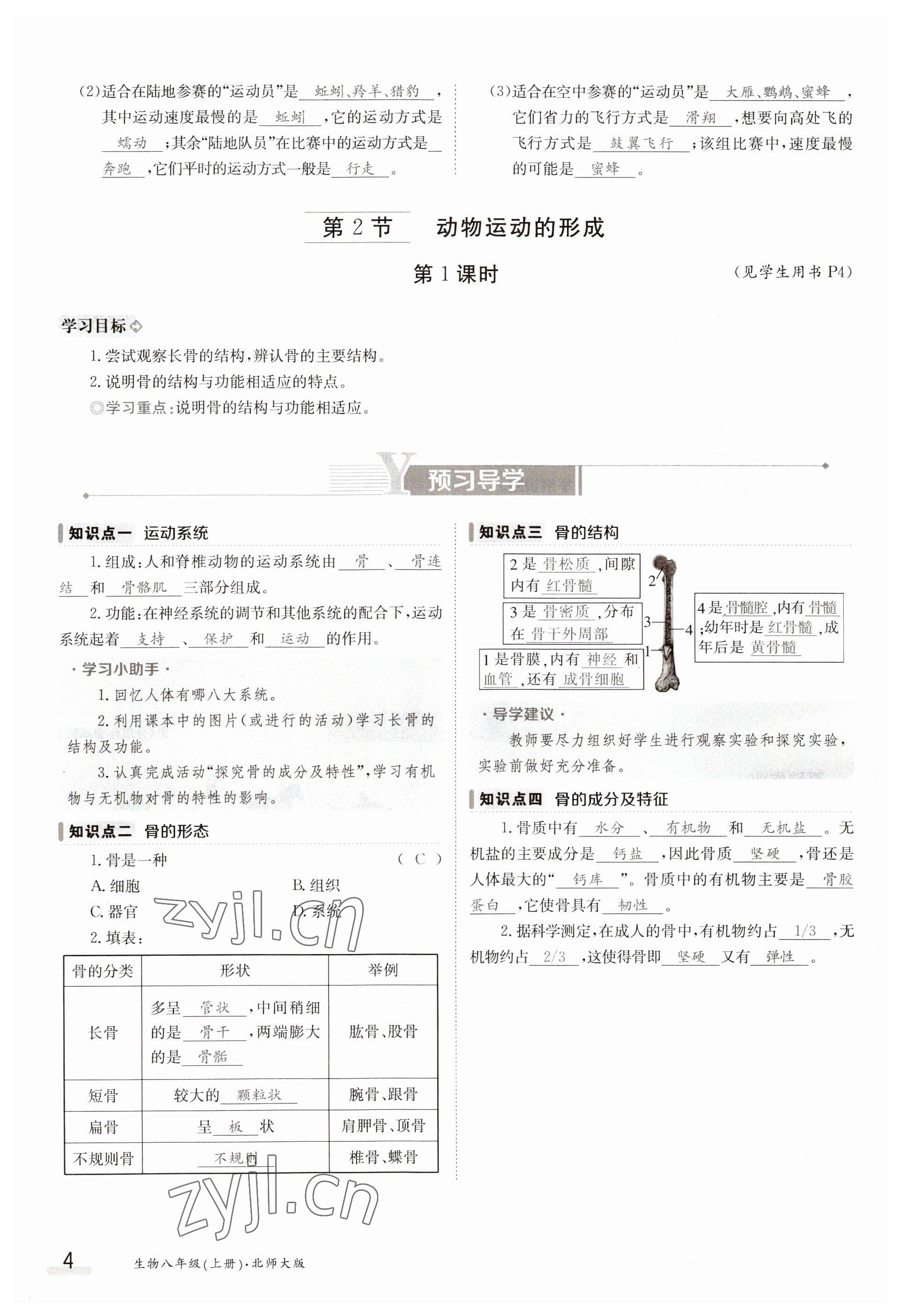 2023年金太陽導(dǎo)學(xué)案八年級生物上冊北師大版 參考答案第4頁