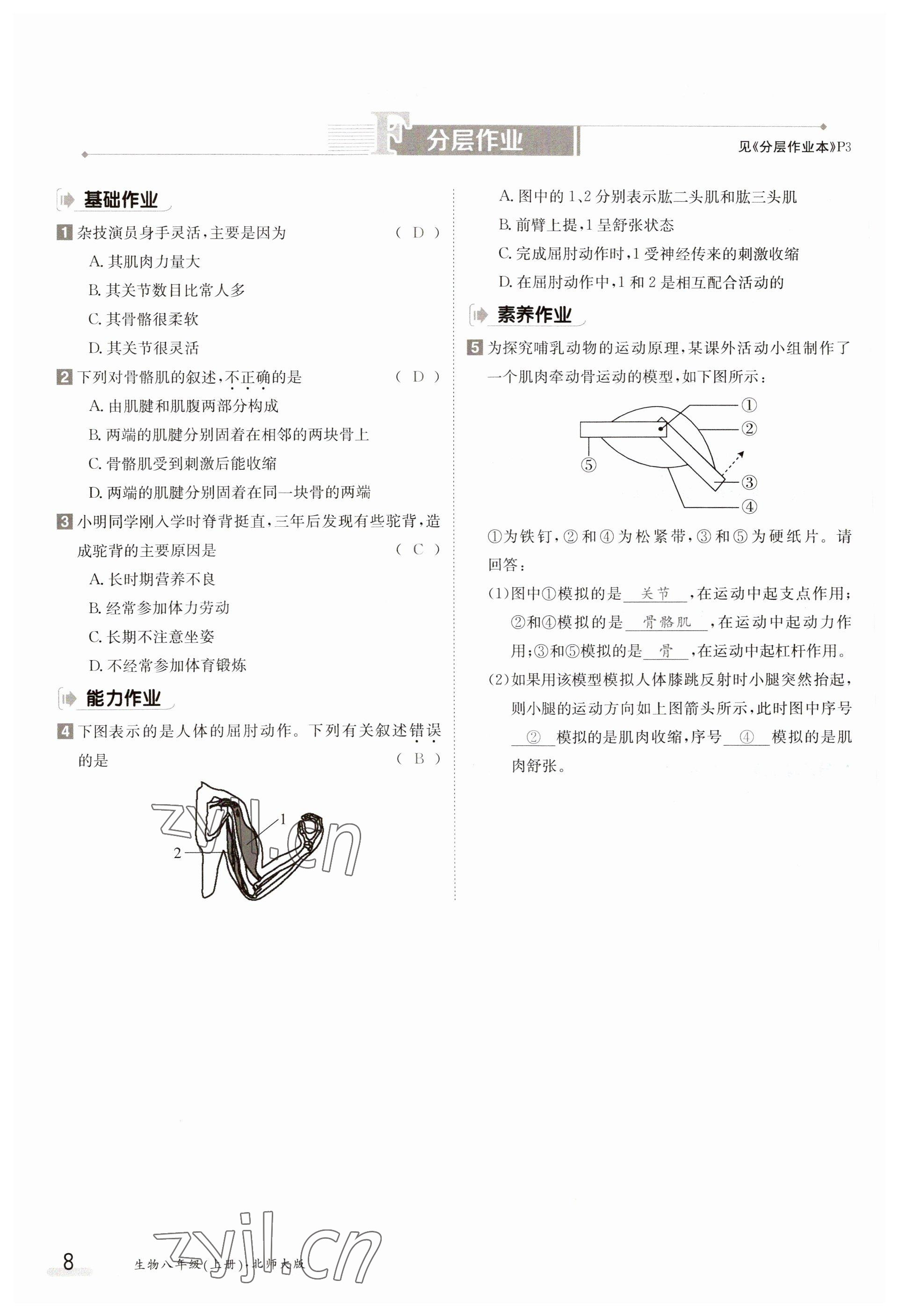 2023年金太阳导学案八年级生物上册北师大版 参考答案第8页