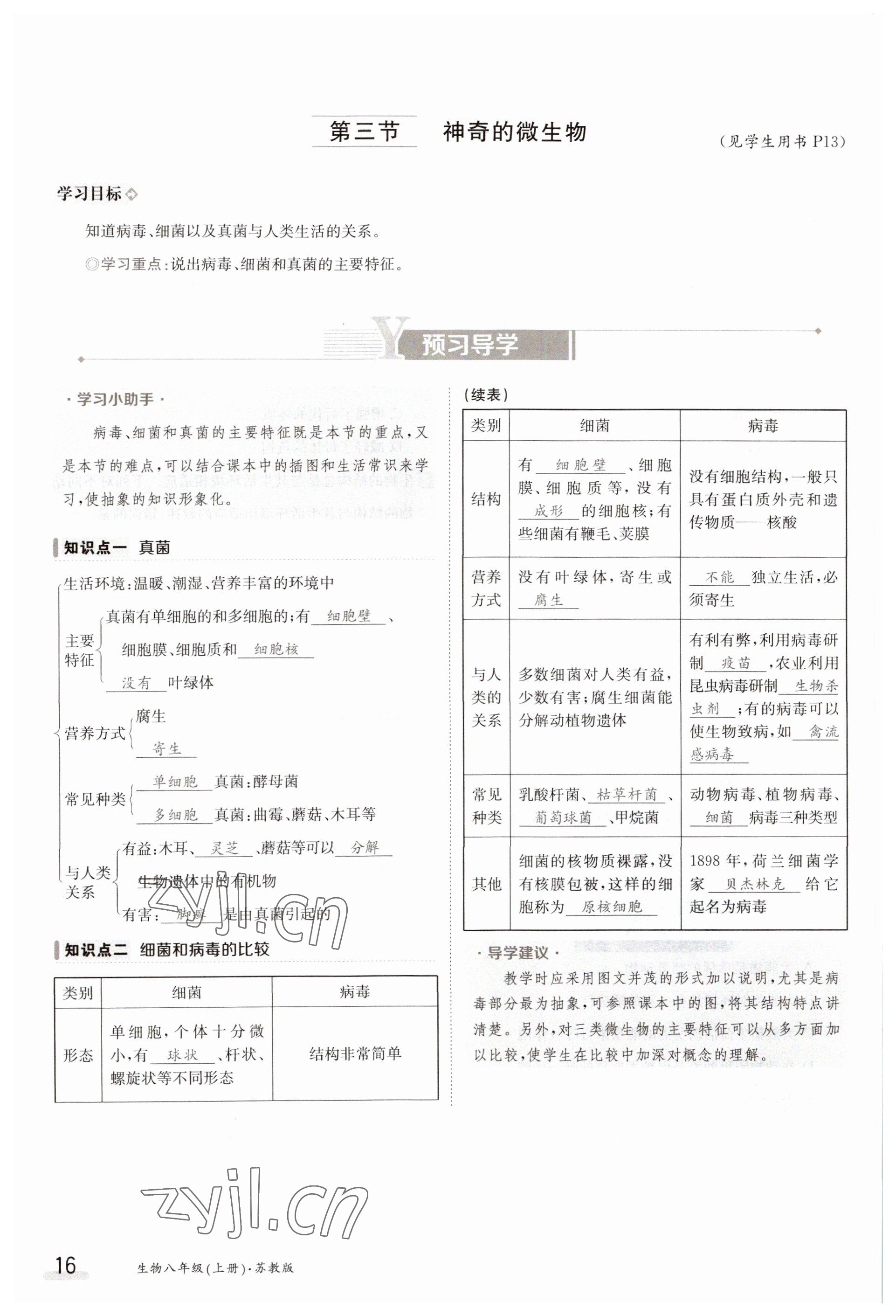 2023年金太阳导学案八年级生物上册苏教版 参考答案第16页