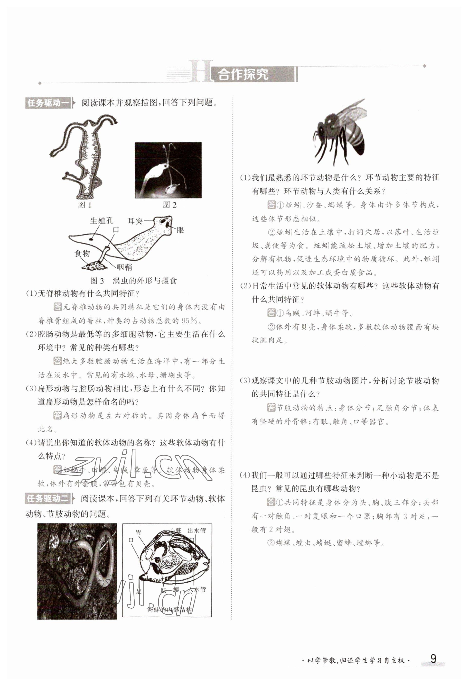 2023年金太阳导学案八年级生物上册苏教版 参考答案第9页