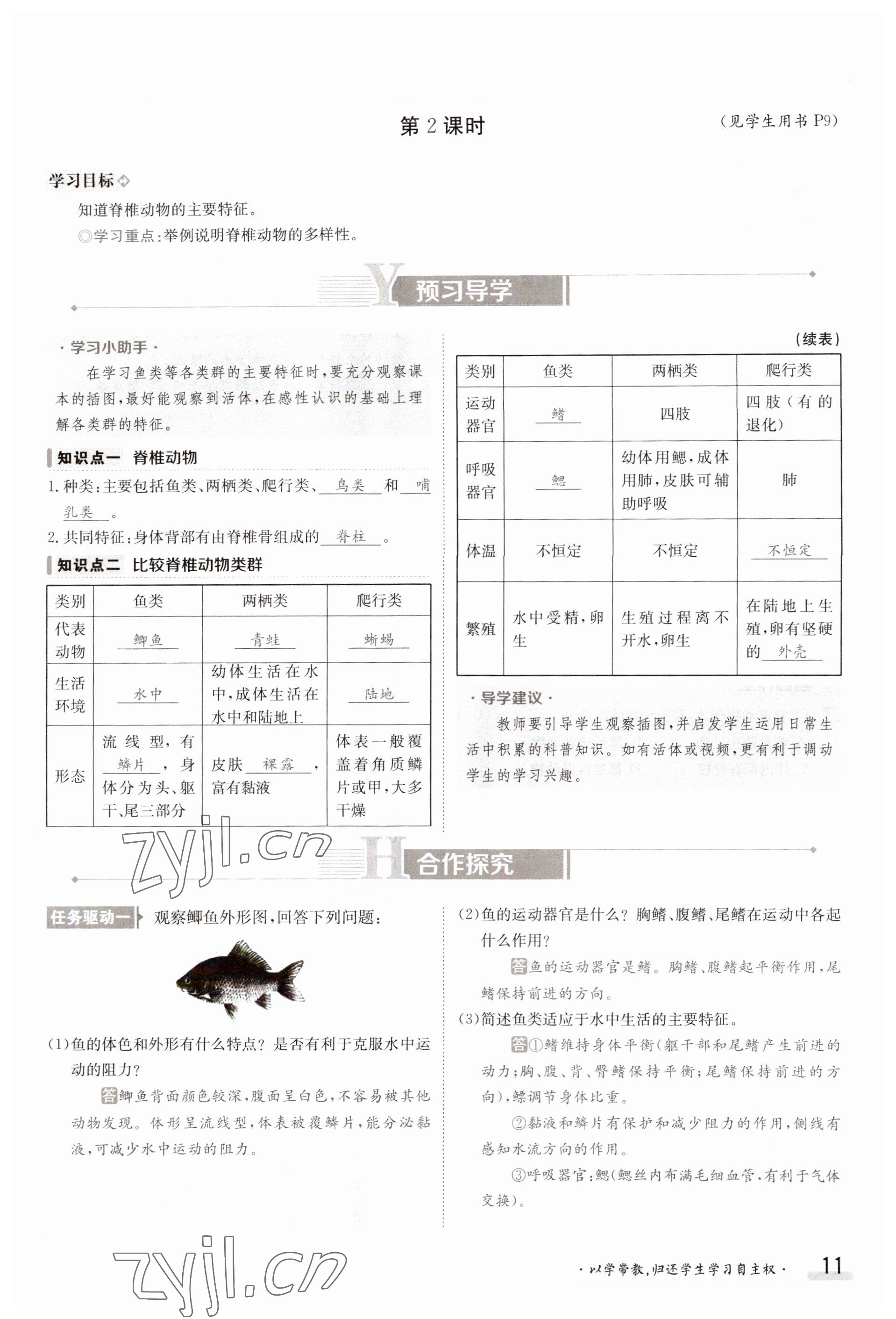 2023年金太阳导学案八年级生物上册苏教版 参考答案第11页