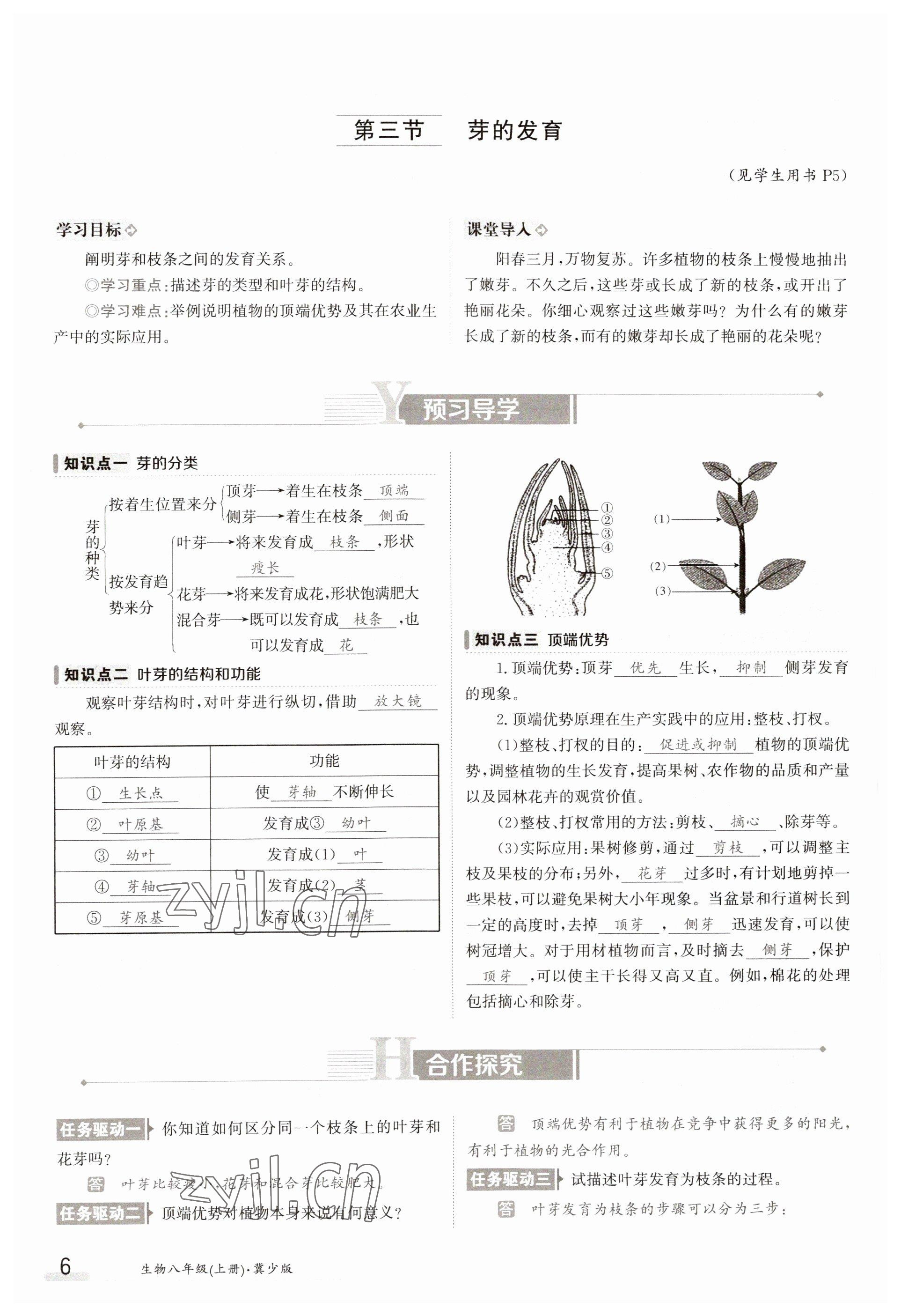 2023年金太阳导学案八年级生物上册冀少版 参考答案第6页