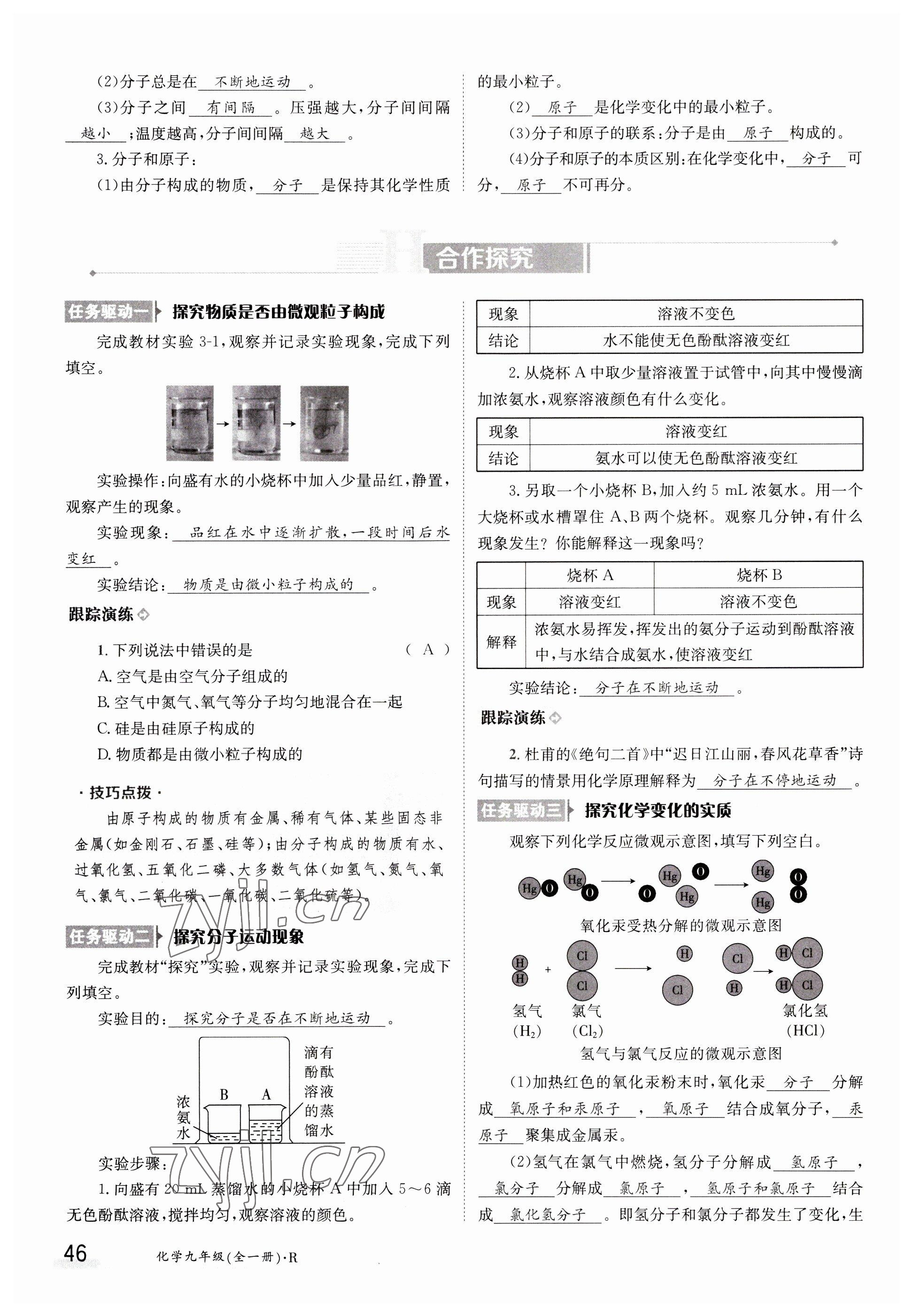 2023年金太陽導學案九年級化學全一冊人教版 參考答案第46頁