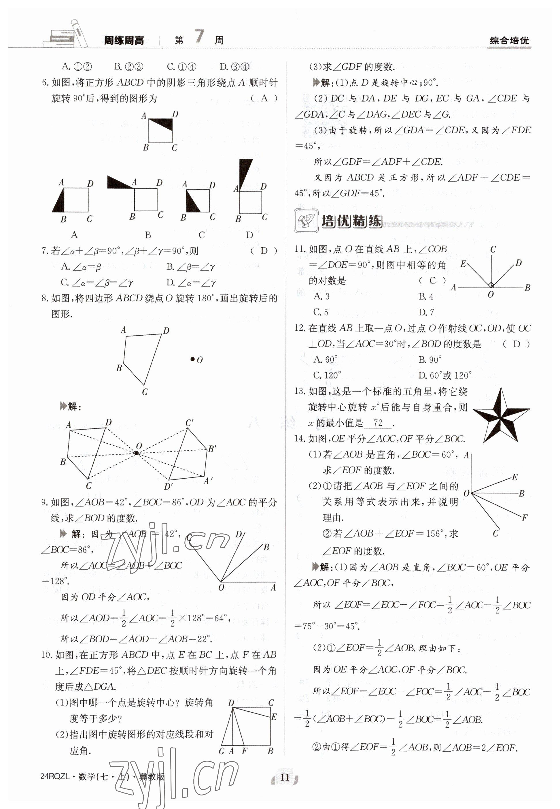 2023年日清周練七年級(jí)數(shù)學(xué)上冊(cè)冀教版 參考答案第11頁(yè)