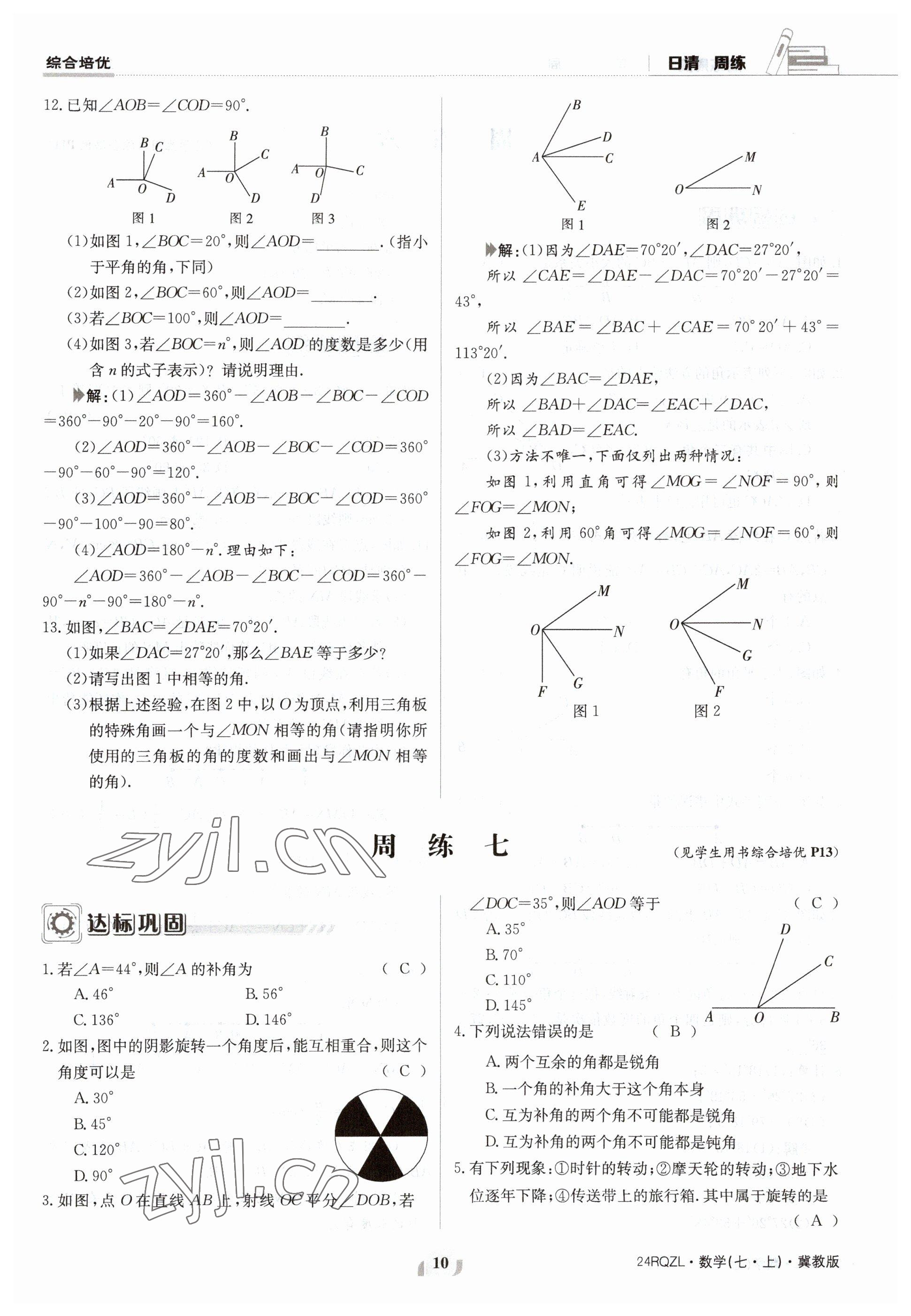 2023年日清周練七年級數(shù)學(xué)上冊冀教版 參考答案第10頁